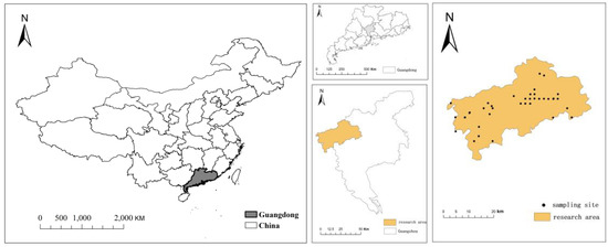 Horticulturae | Free Full-Text | Characteristics of Organic 