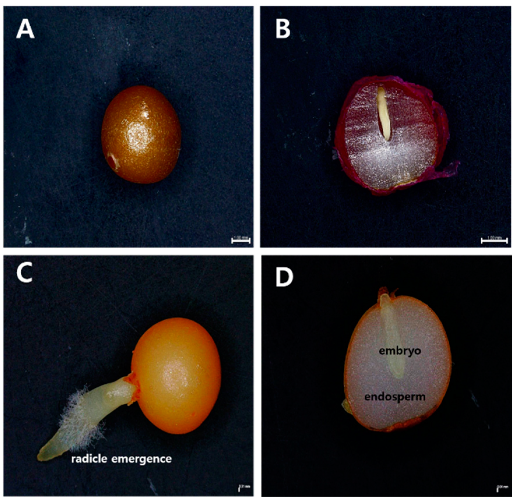 Horticulturae 08 01057 g002