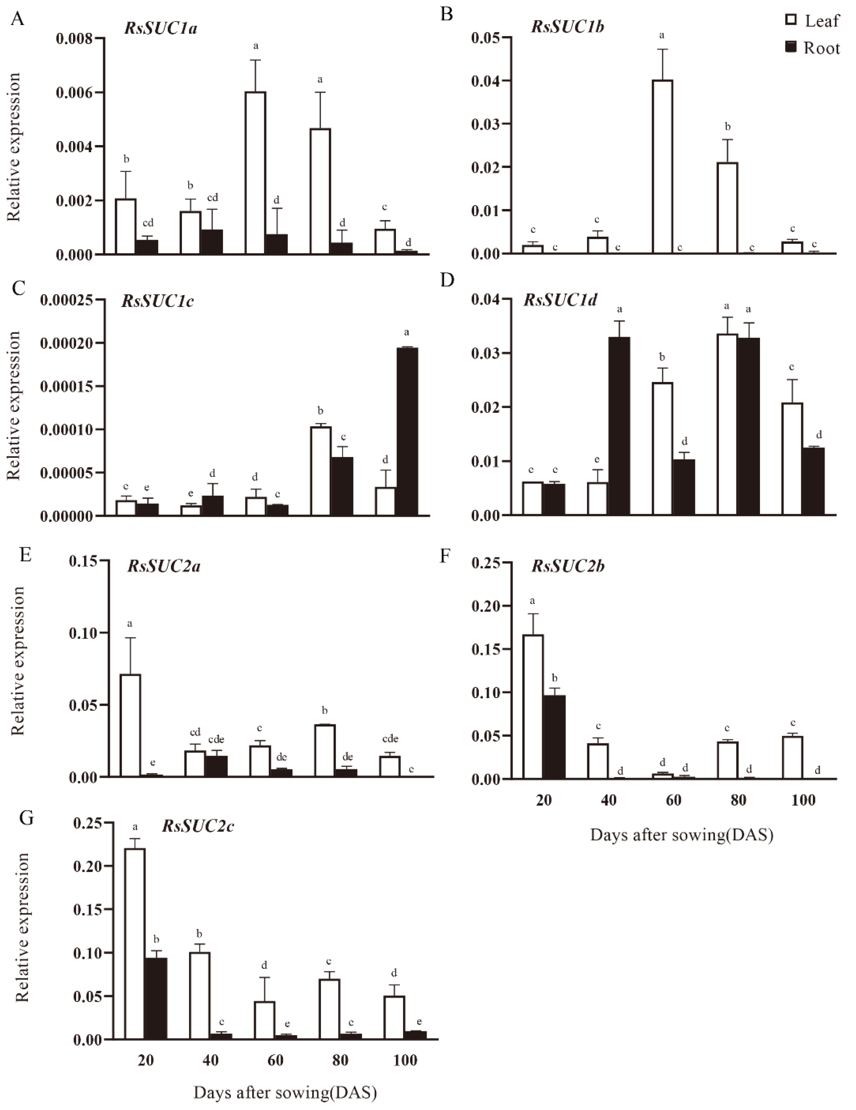 Horticulturae 08 01058 g003 Horticulturae 08 01058 g003
