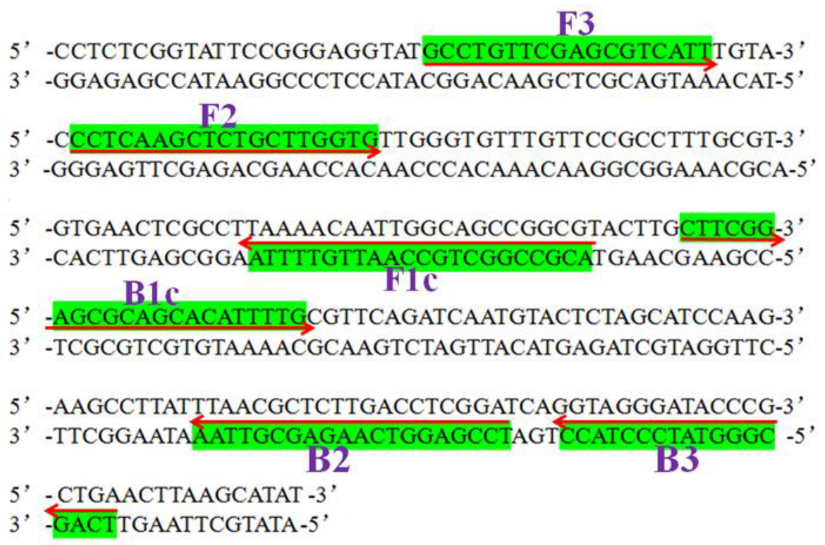 Horticulturae 08 01060 g001 Horticulturae 08 01060 g001