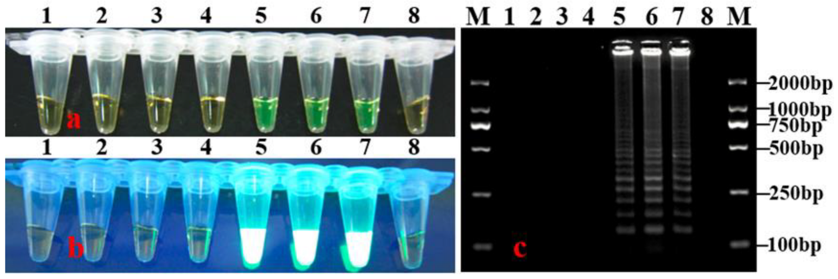 Horticulturae 08 01060 g002 Horticulturae 08 01060 g002