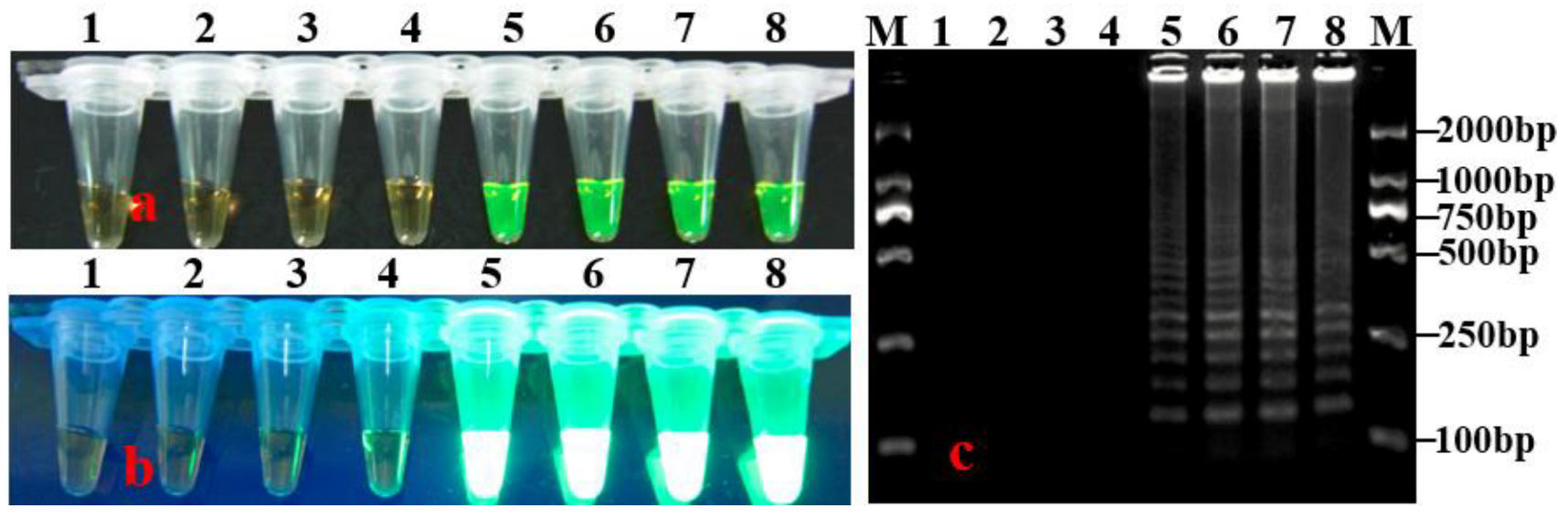 Horticulturae 08 01060 g003 Horticulturae 08 01060 g003