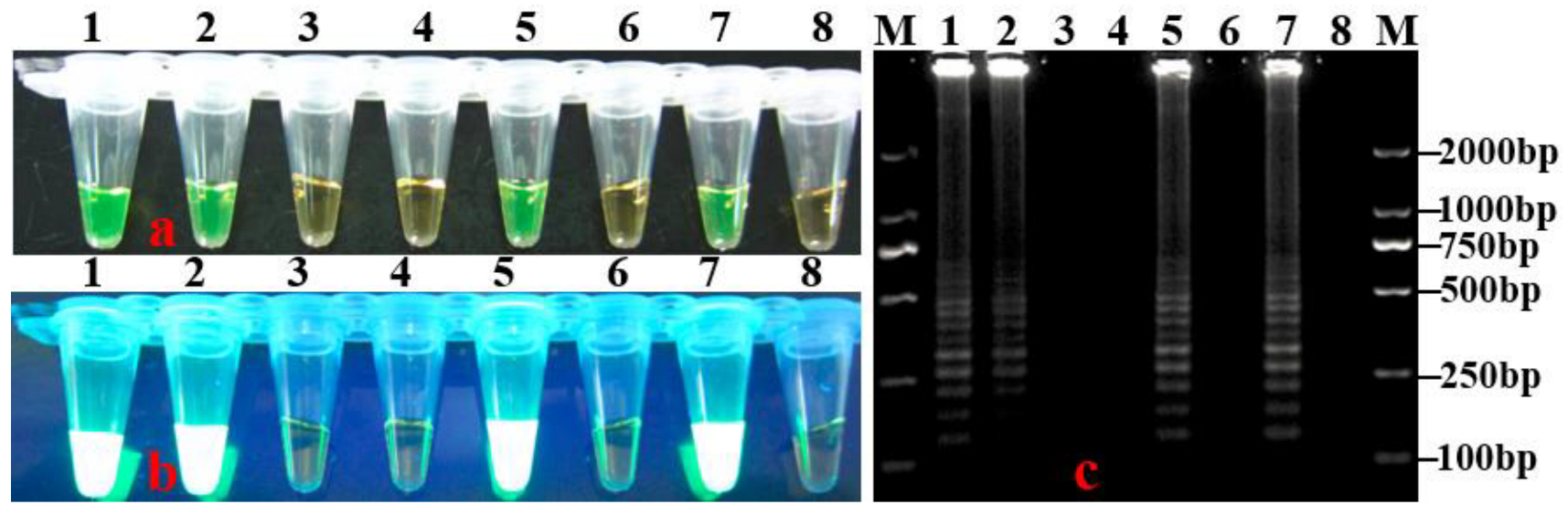 Horticulturae 08 01060 g006 Horticulturae 08 01060 g006