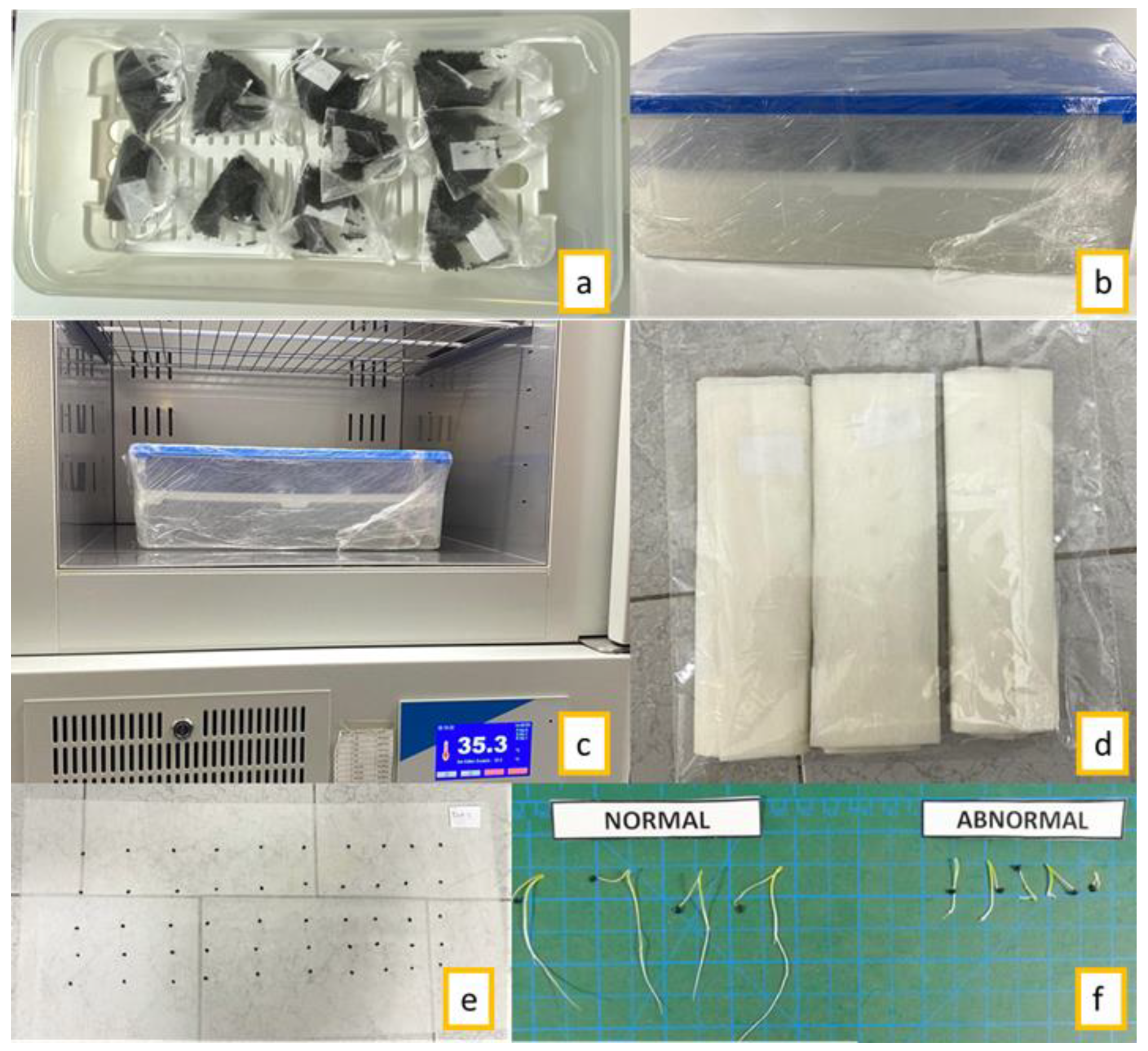Horticulturae 08 01063 g001