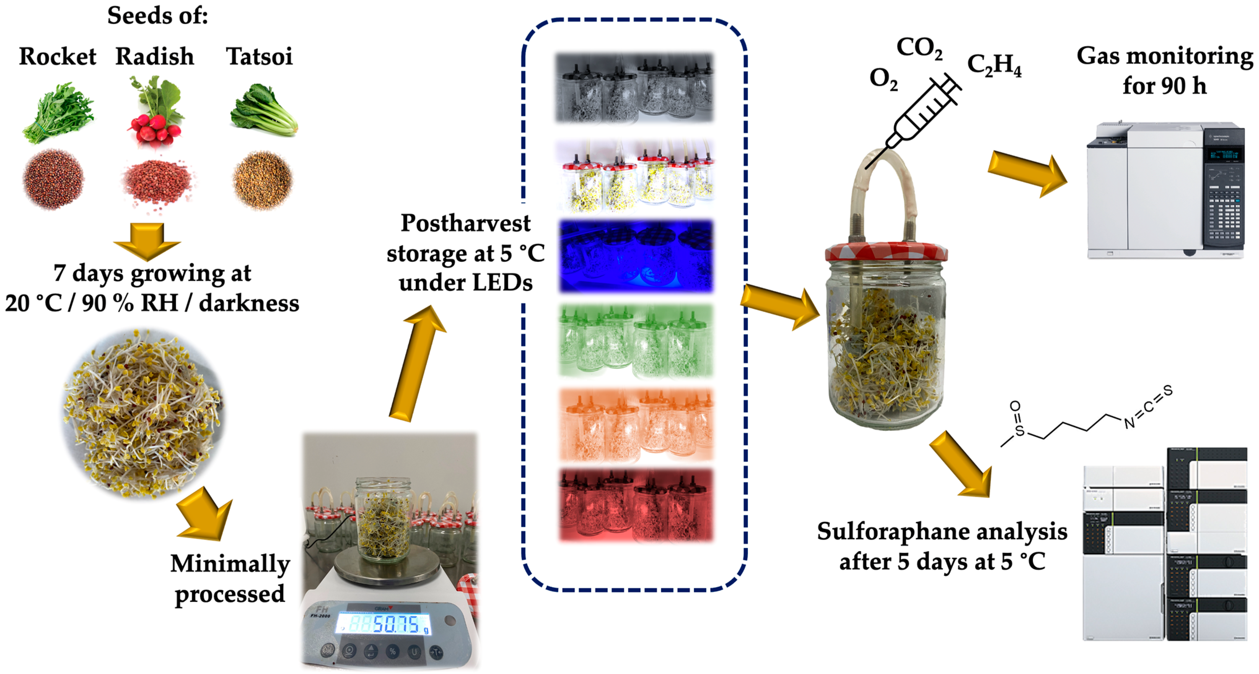 Horticulturae 08 01065 g001