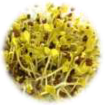 Horticulturae 08 01065 i002