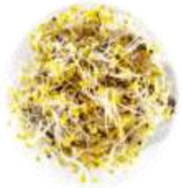 Horticulturae 08 01065 i003