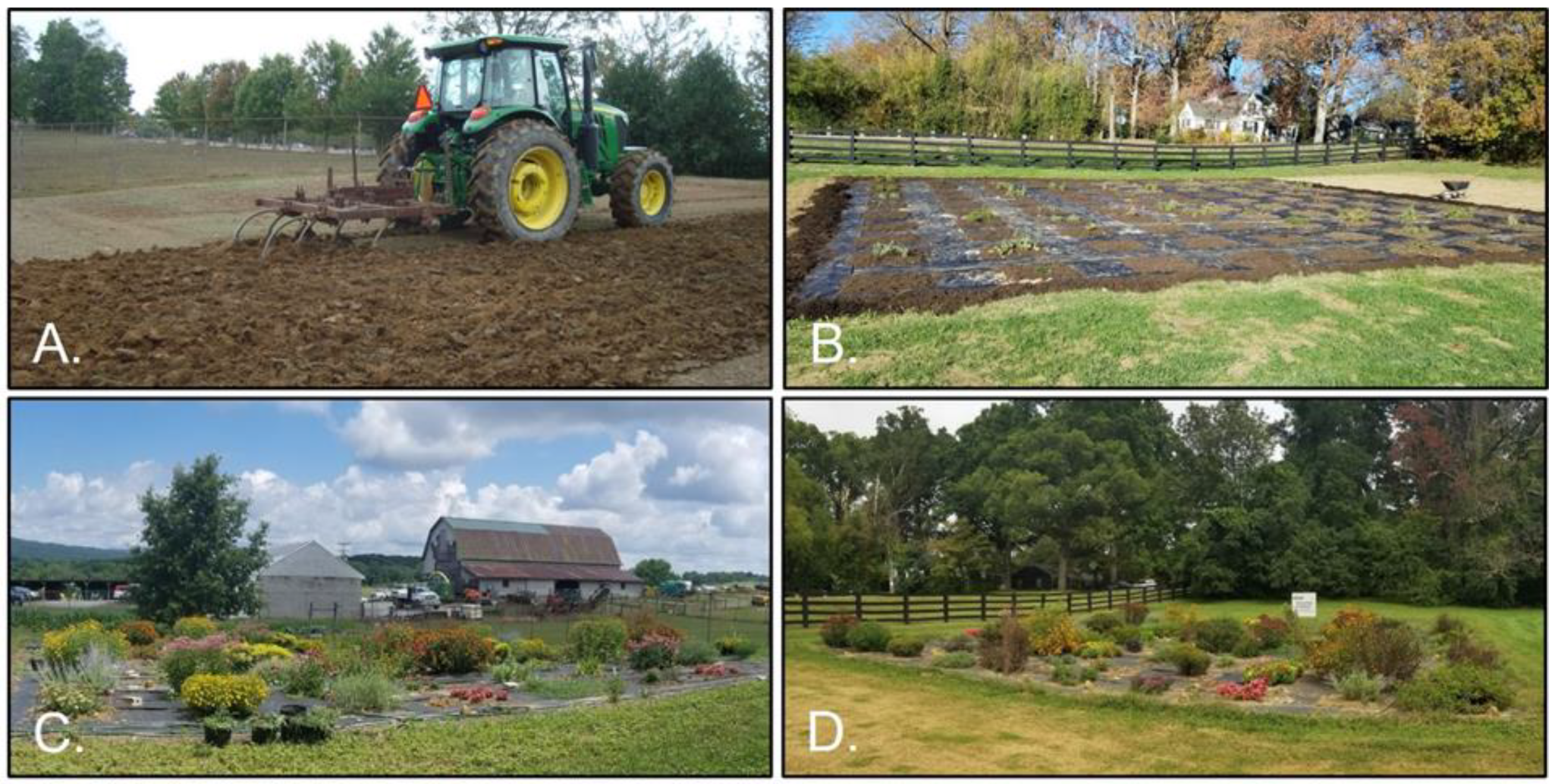 Horticulturae 08 01068 g001 Horticulturae 08 01068 g001