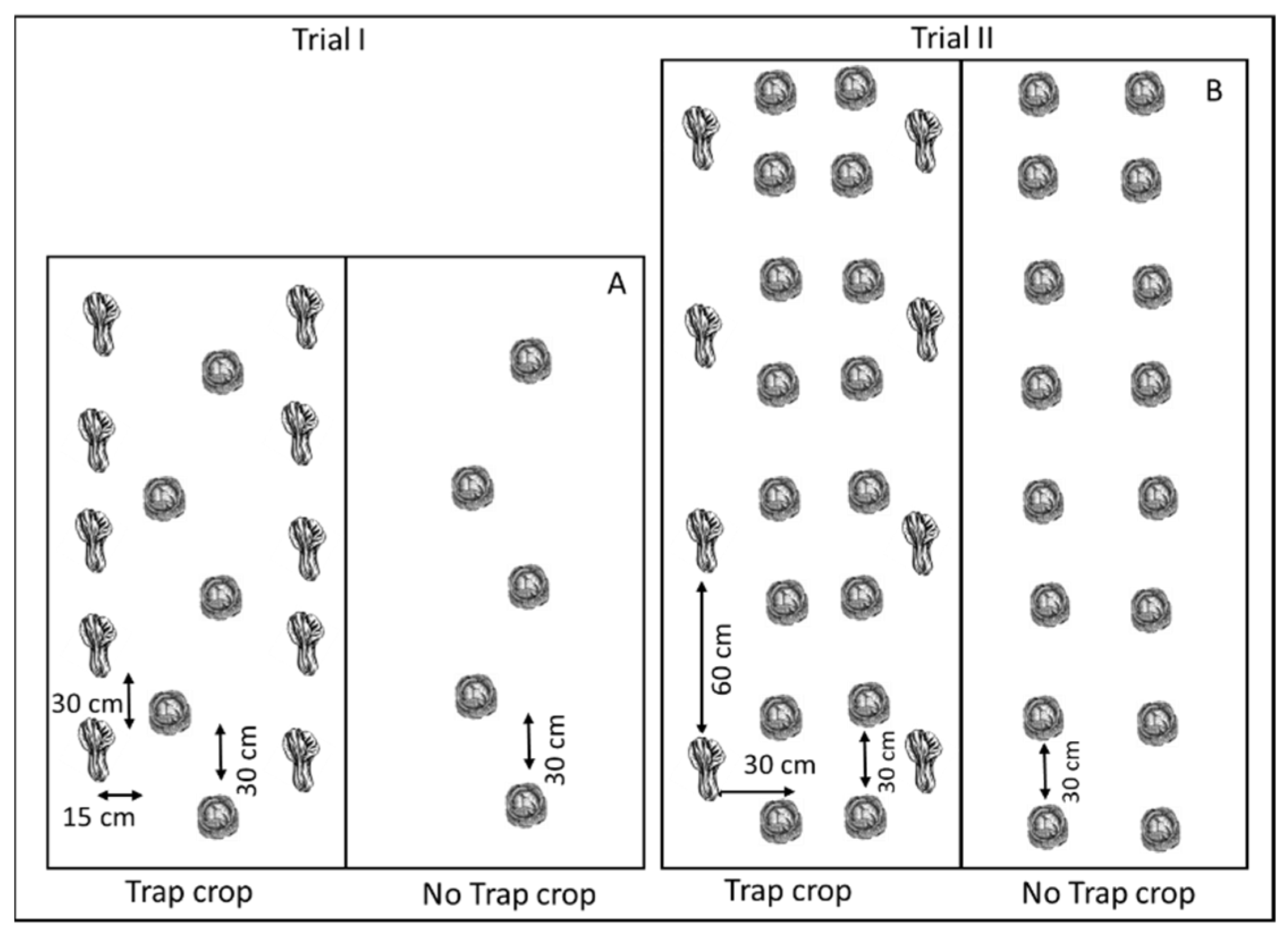 Horticulturae 08 01073 g001 Horticulturae 08 01073 g001