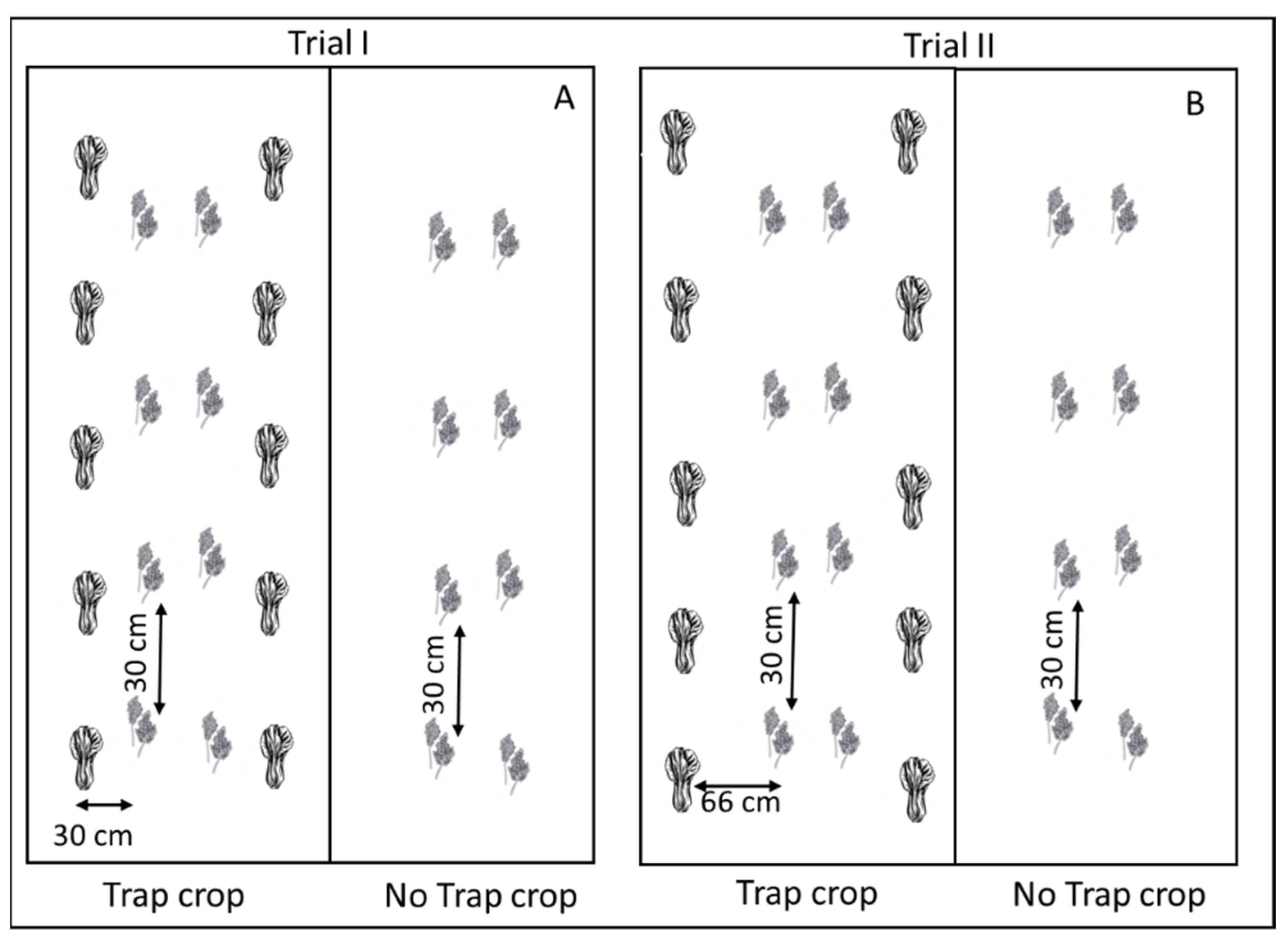 Horticulturae 08 01073 g003 Horticulturae 08 01073 g003