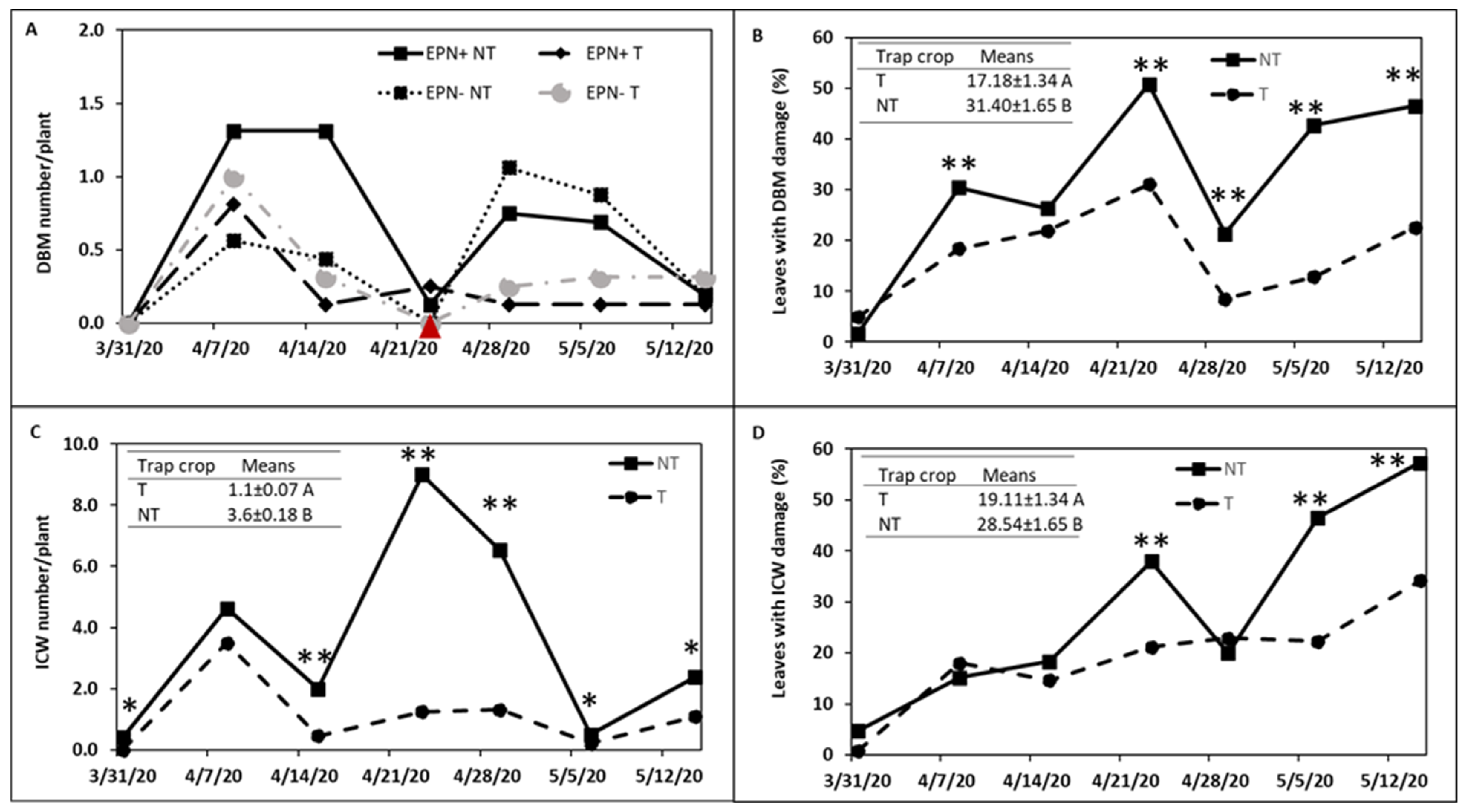 Horticulturae 08 01073 g004 Horticulturae 08 01073 g004