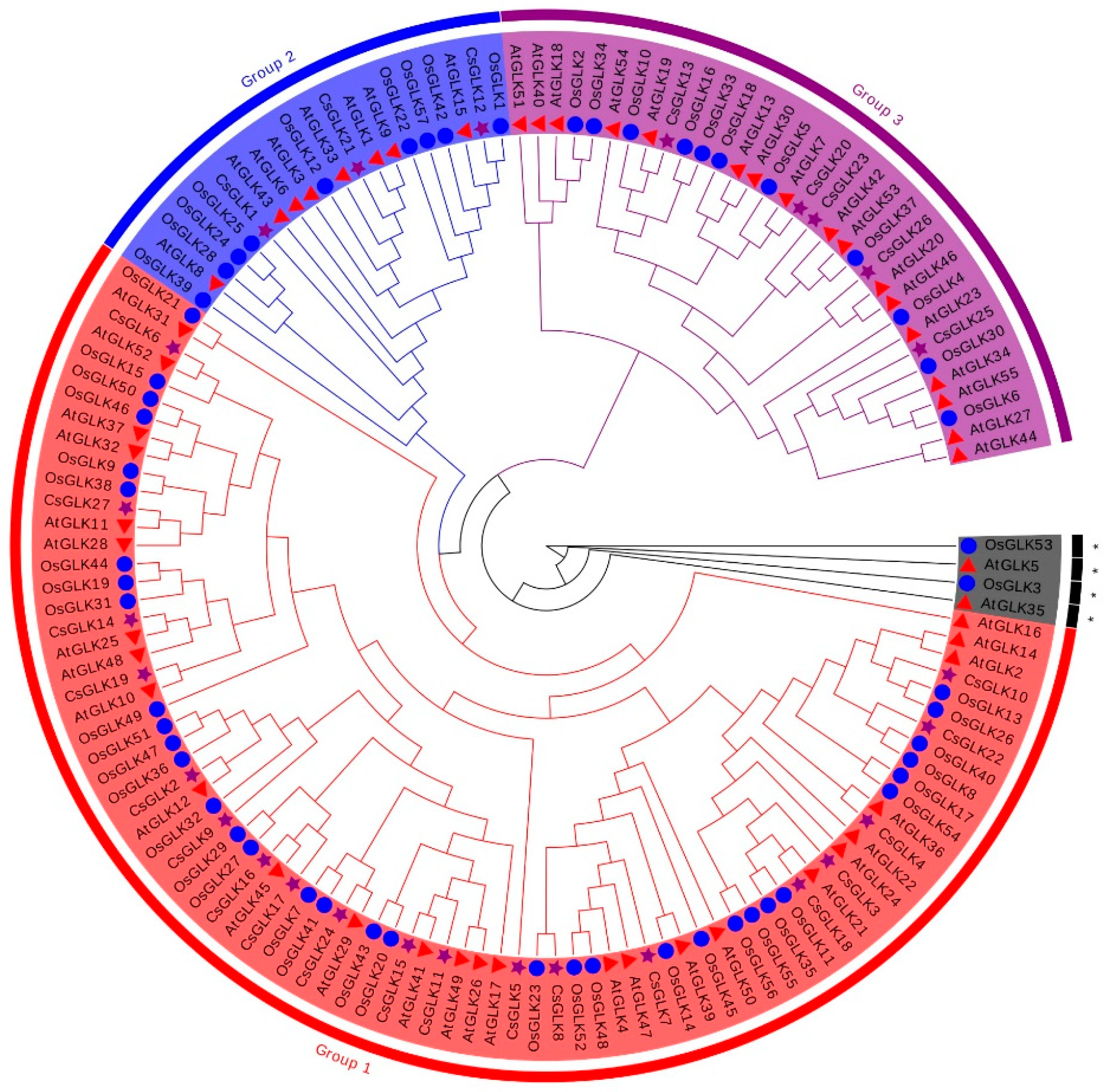 Horticulturae 08 01076 g001 Horticulturae 08 01076 g001
