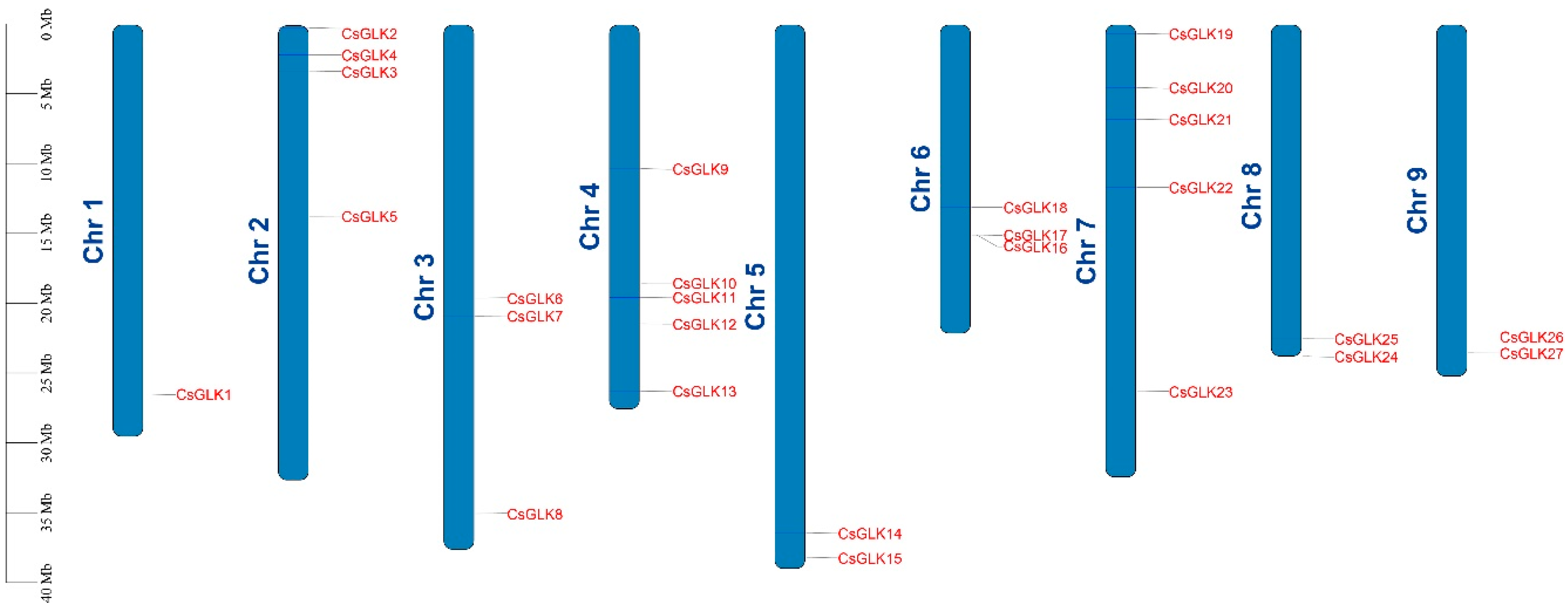 Horticulturae 08 01076 g004 Horticulturae 08 01076 g004