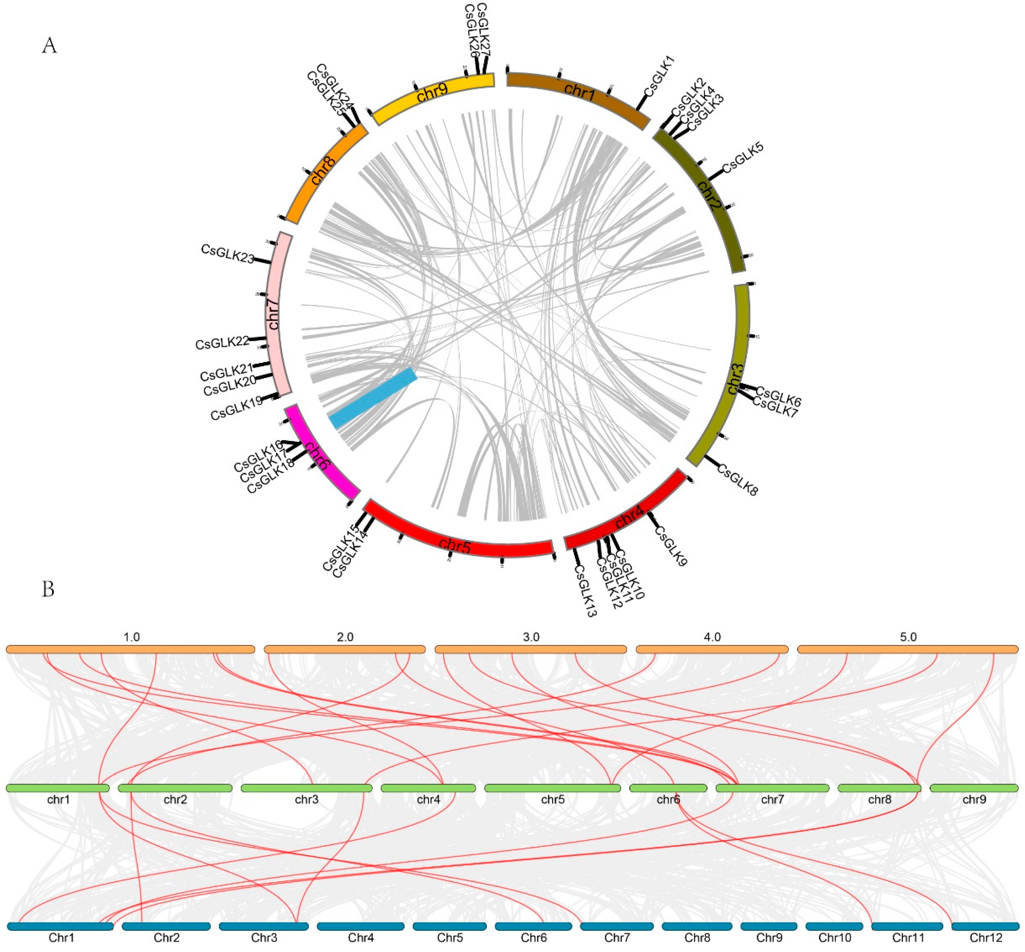 Horticulturae 08 01076 g005 Horticulturae 08 01076 g005