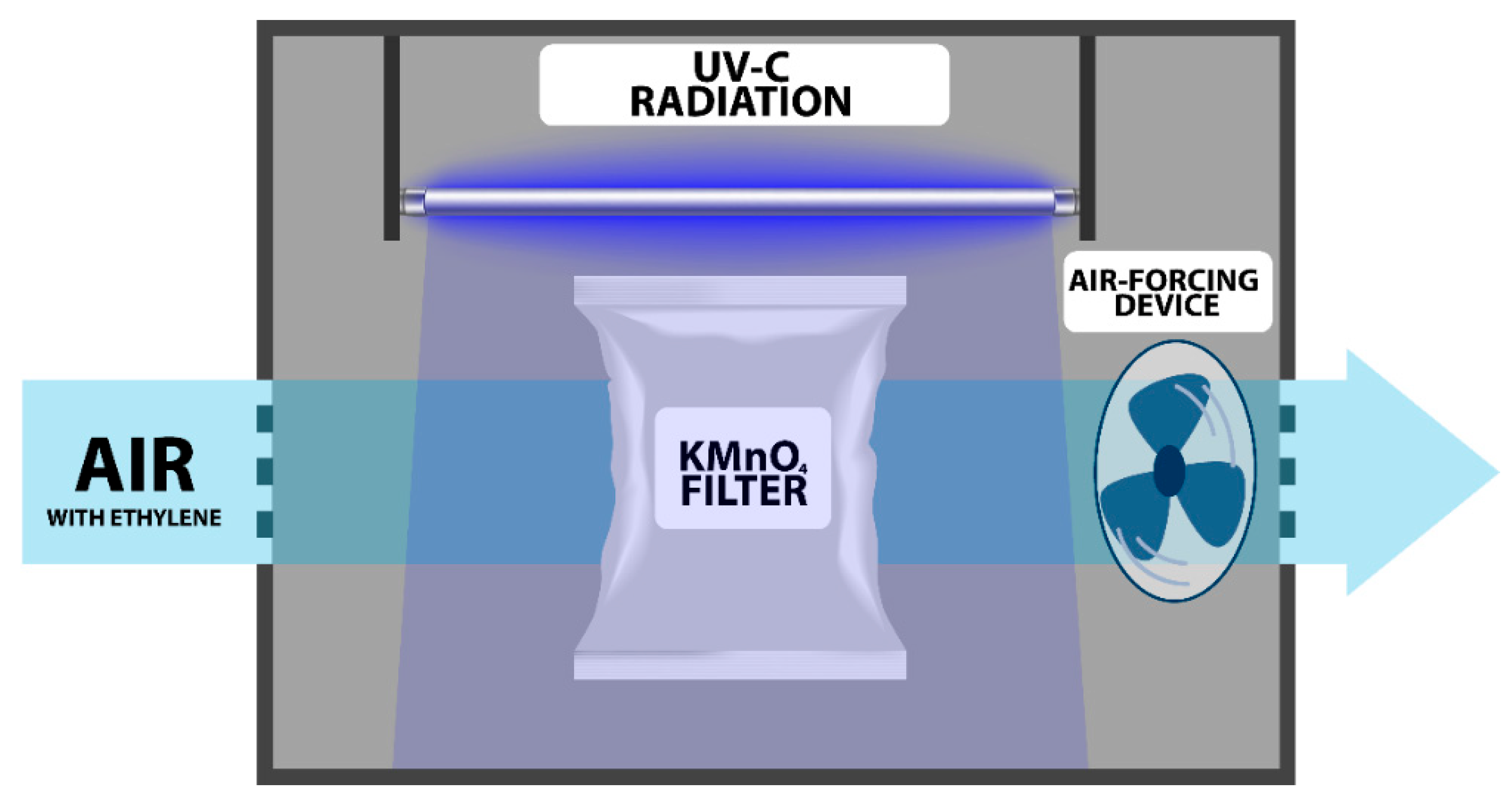 Horticulturae 08 01078 g001 Horticulturae 08 01078 g001
