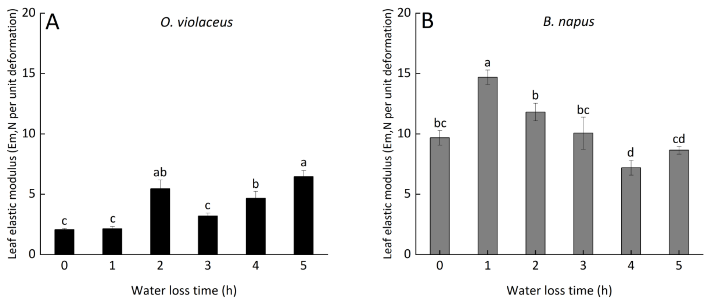 Horticulturae 08 01082 g001 Horticulturae 08 01082 g001