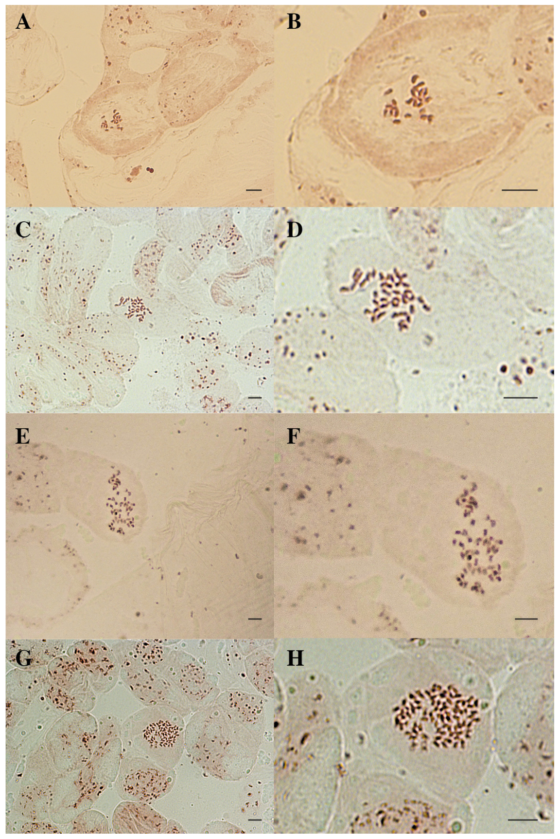 Horticulturae 08 01083 g003