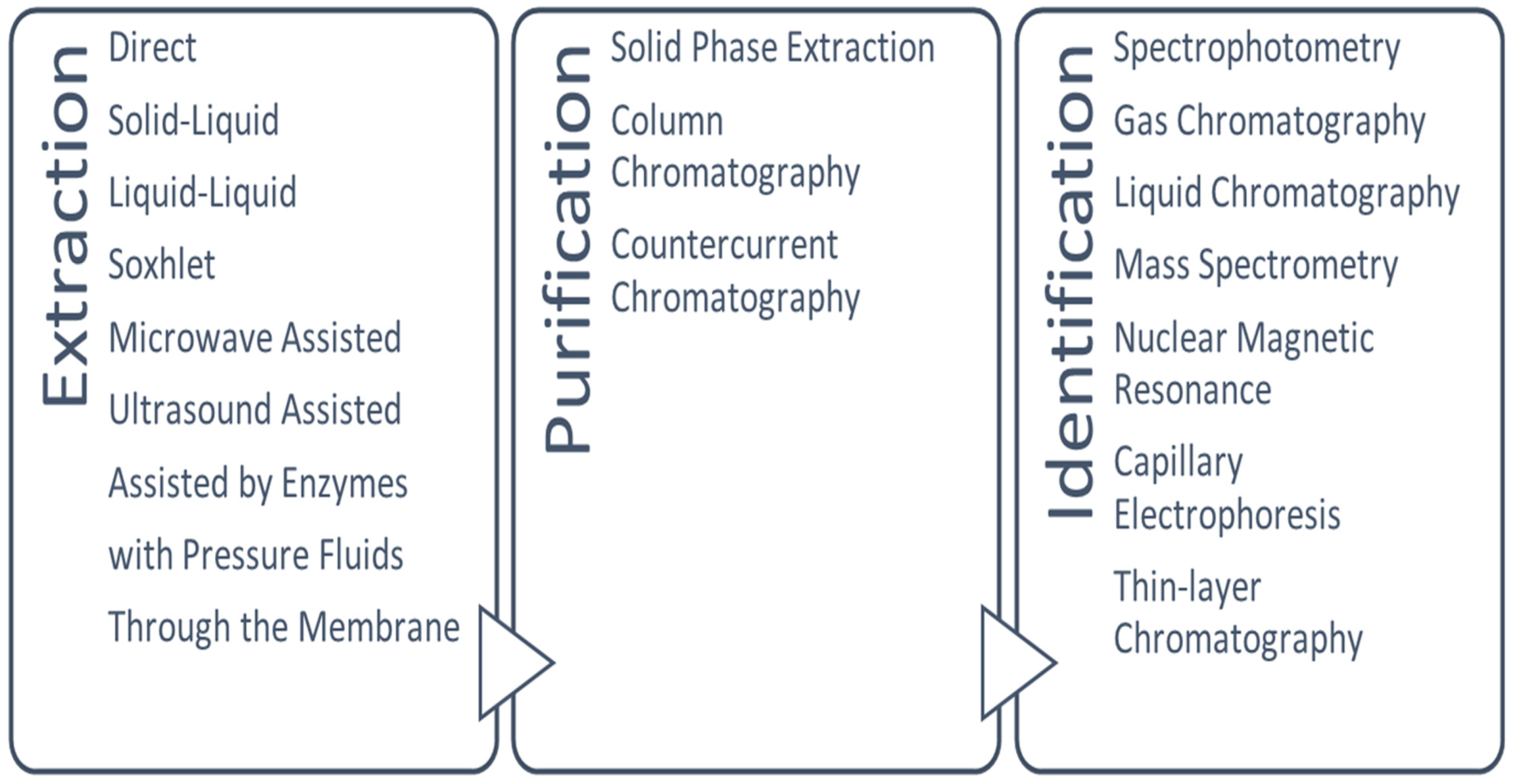 Horticulturae 08 01084 g001