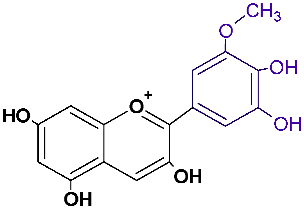 Horticulturae 08 01084 i003 Horticulturae 08 01084 i003