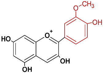 Horticulturae 08 01084 i004 Horticulturae 08 01084 i004