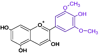 Horticulturae 08 01084 i006 Horticulturae 08 01084 i006