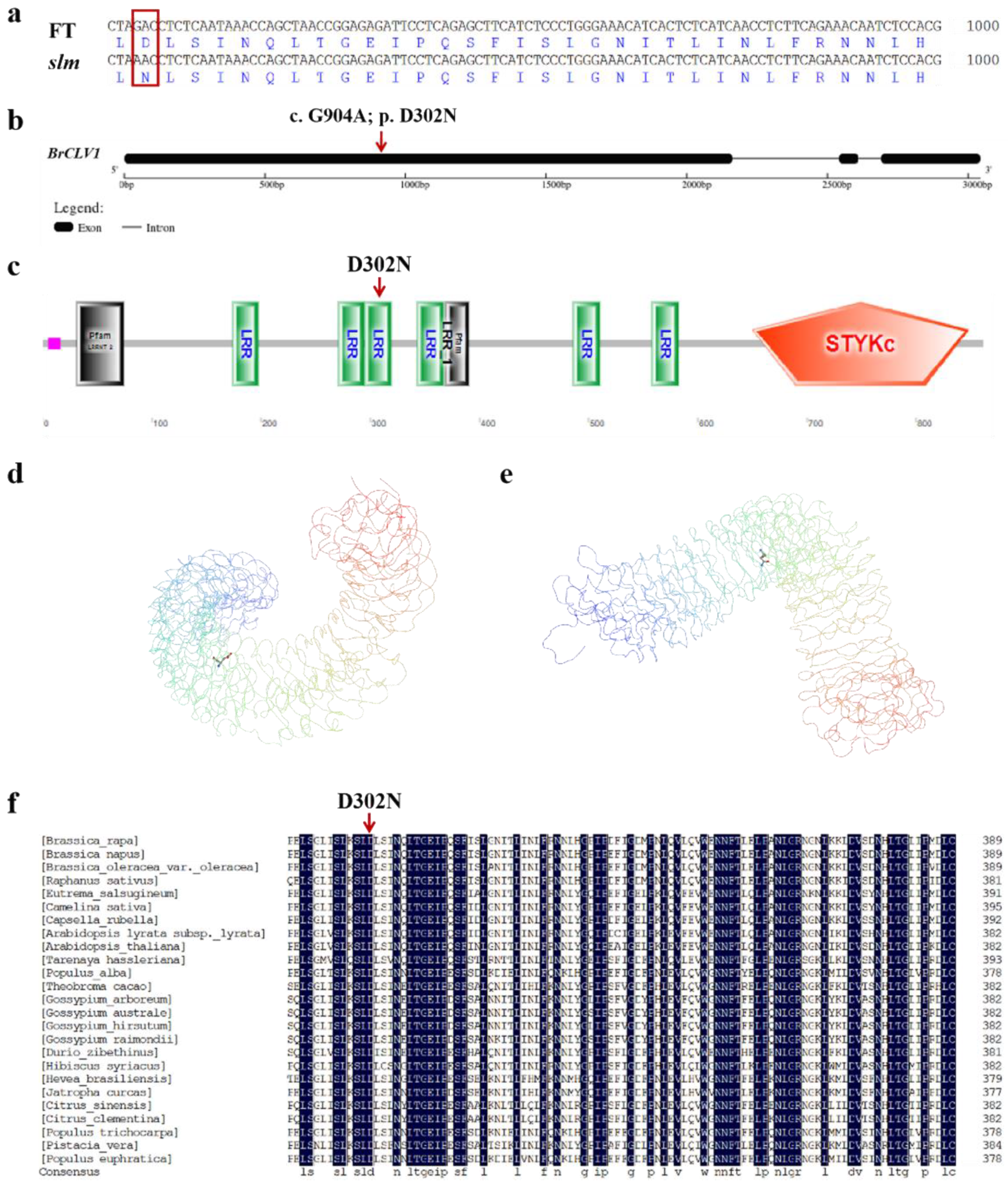 Horticulturae 08 01086 g004