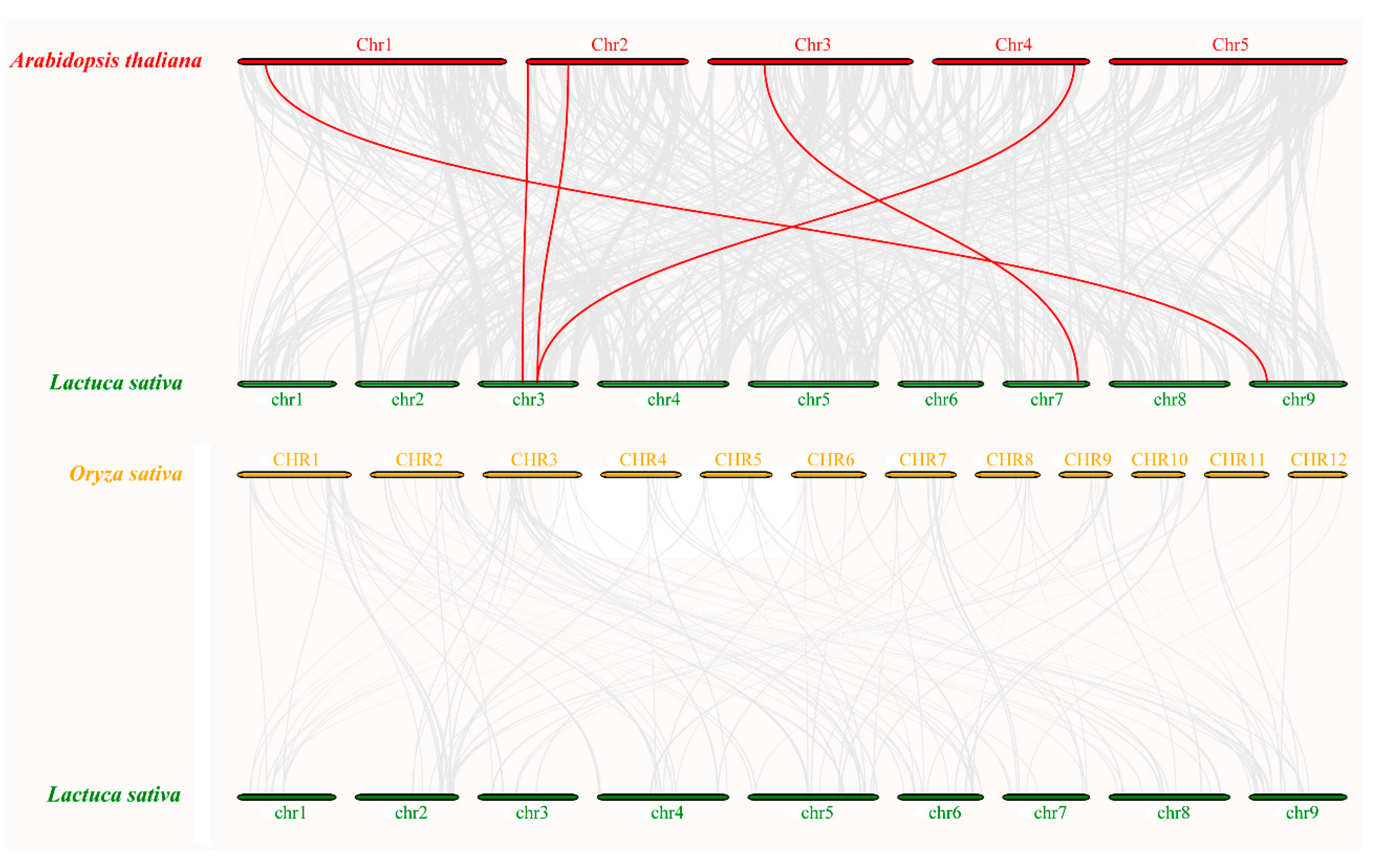 Horticulturae 08 01087 g006