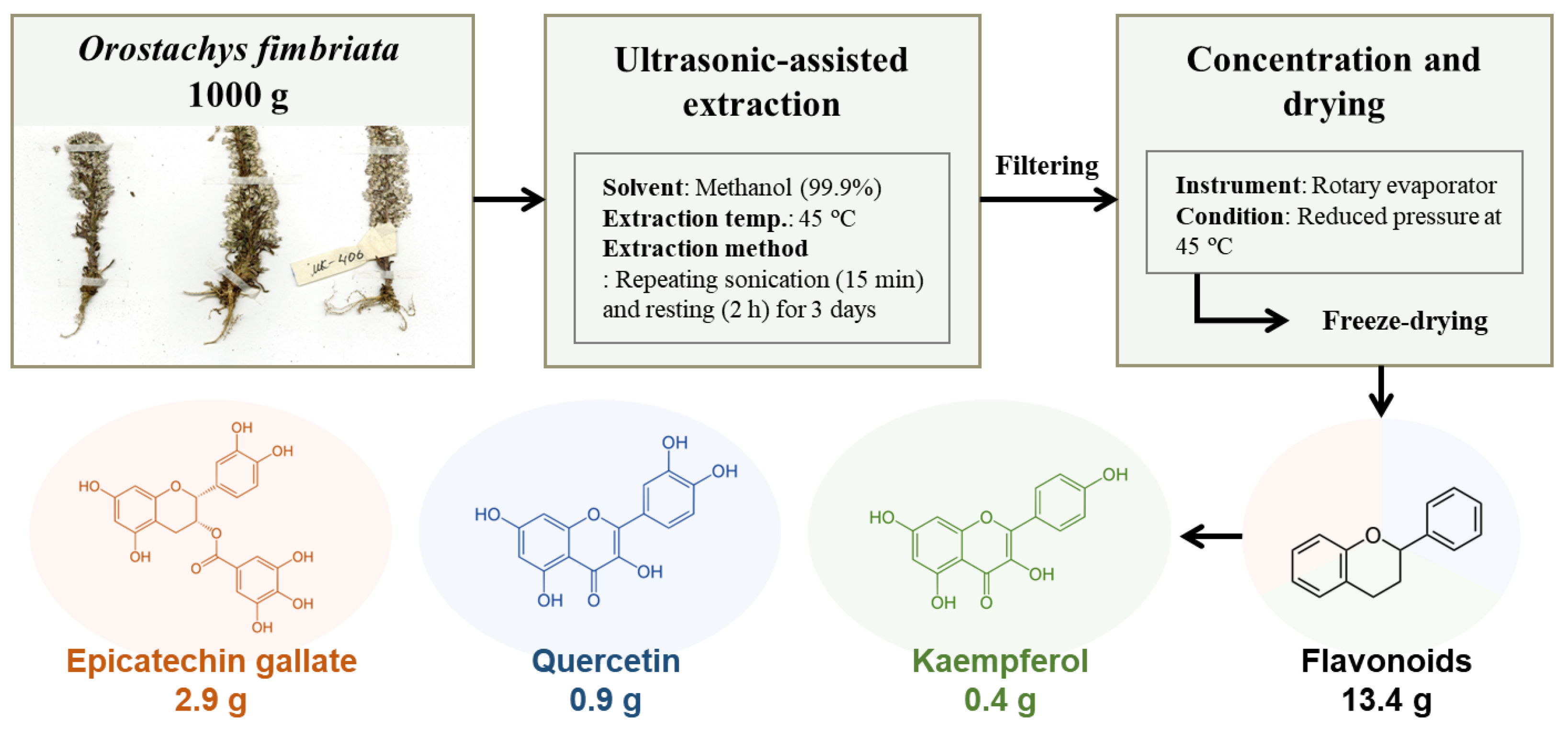 Horticulturae Free FullText Identification and Characterization of
