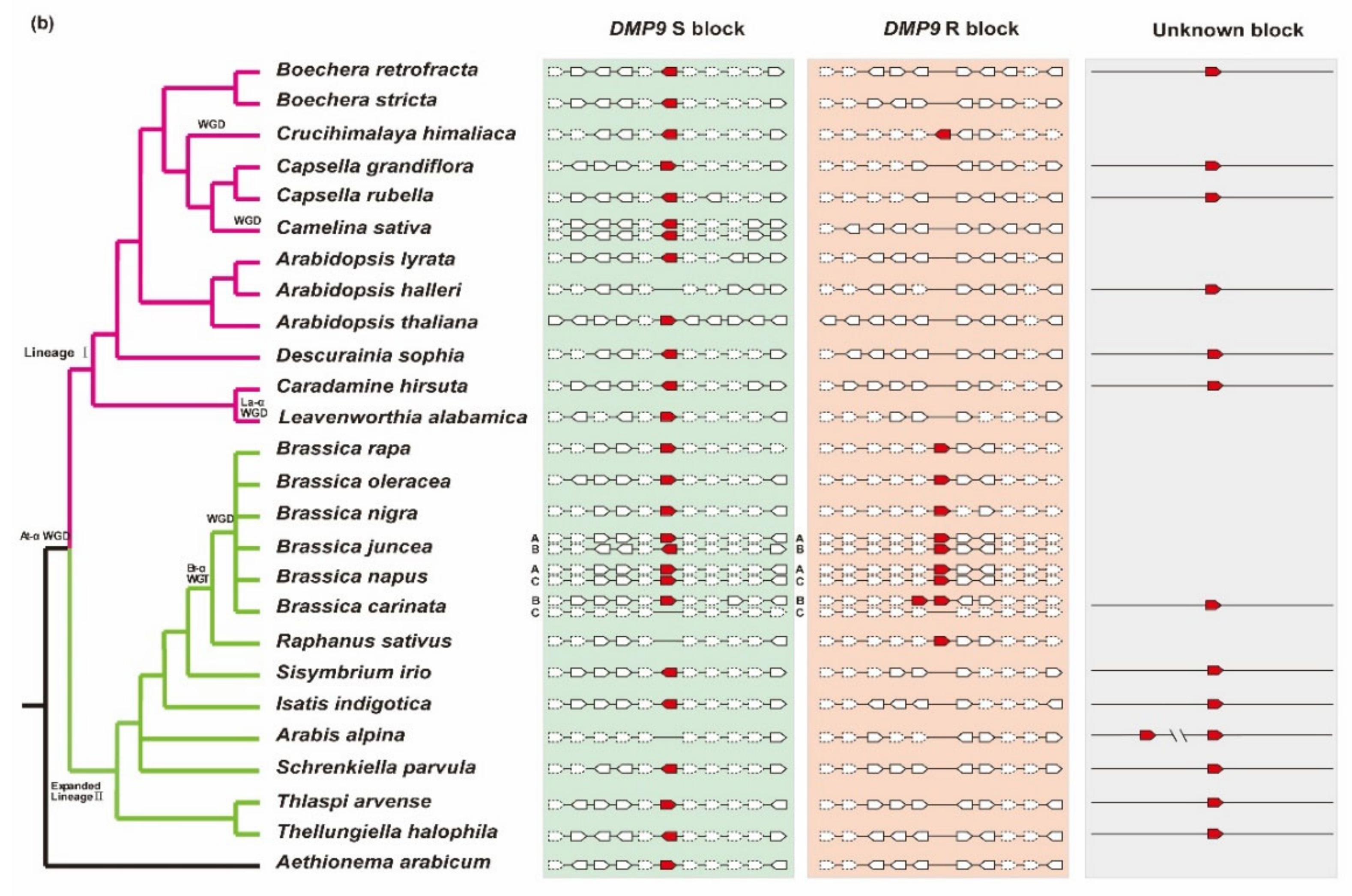 Horticulturae 08 01095 g001b Horticulturae 08 01095 g001b