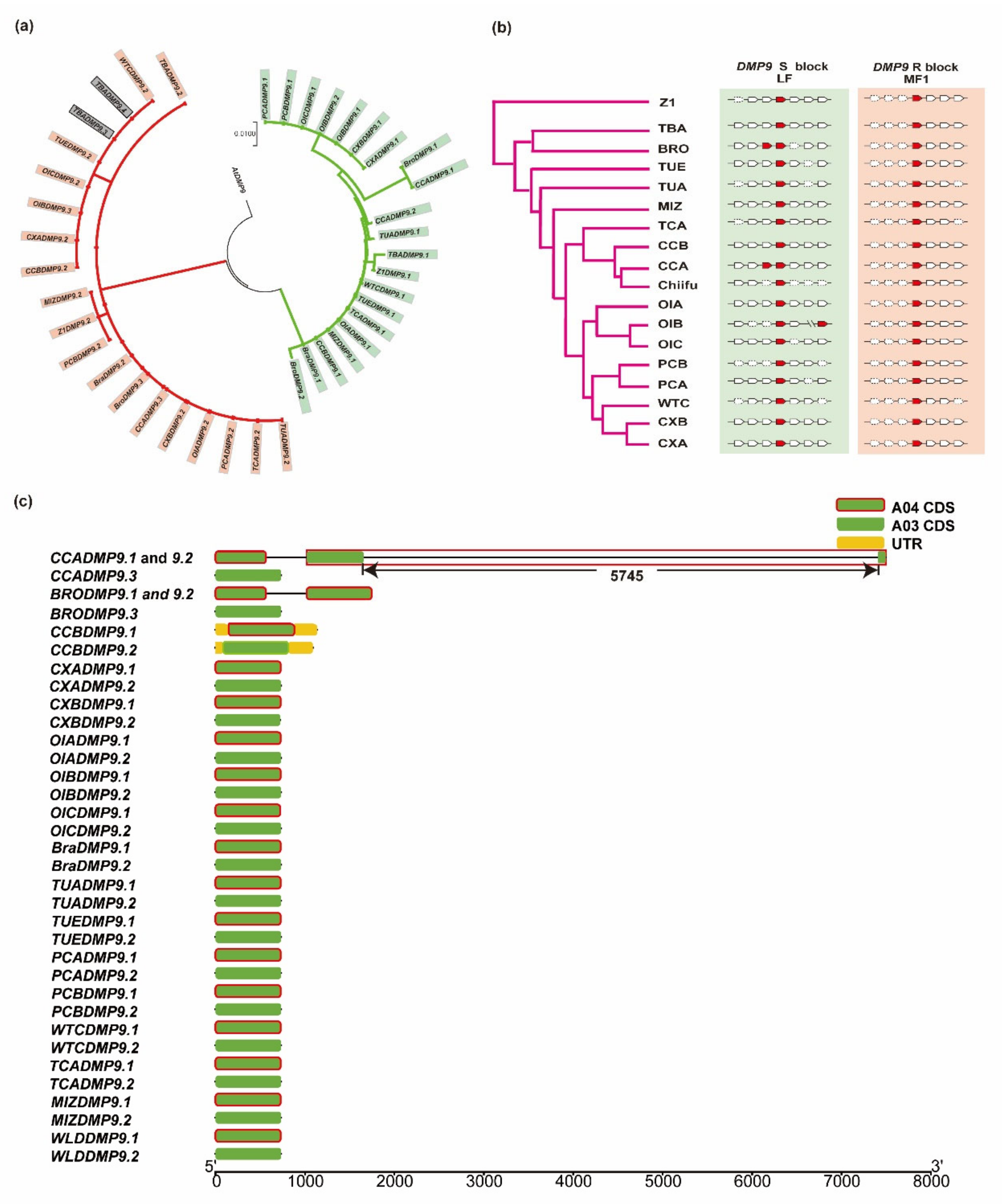 Horticulturae 08 01095 g002 Horticulturae 08 01095 g002