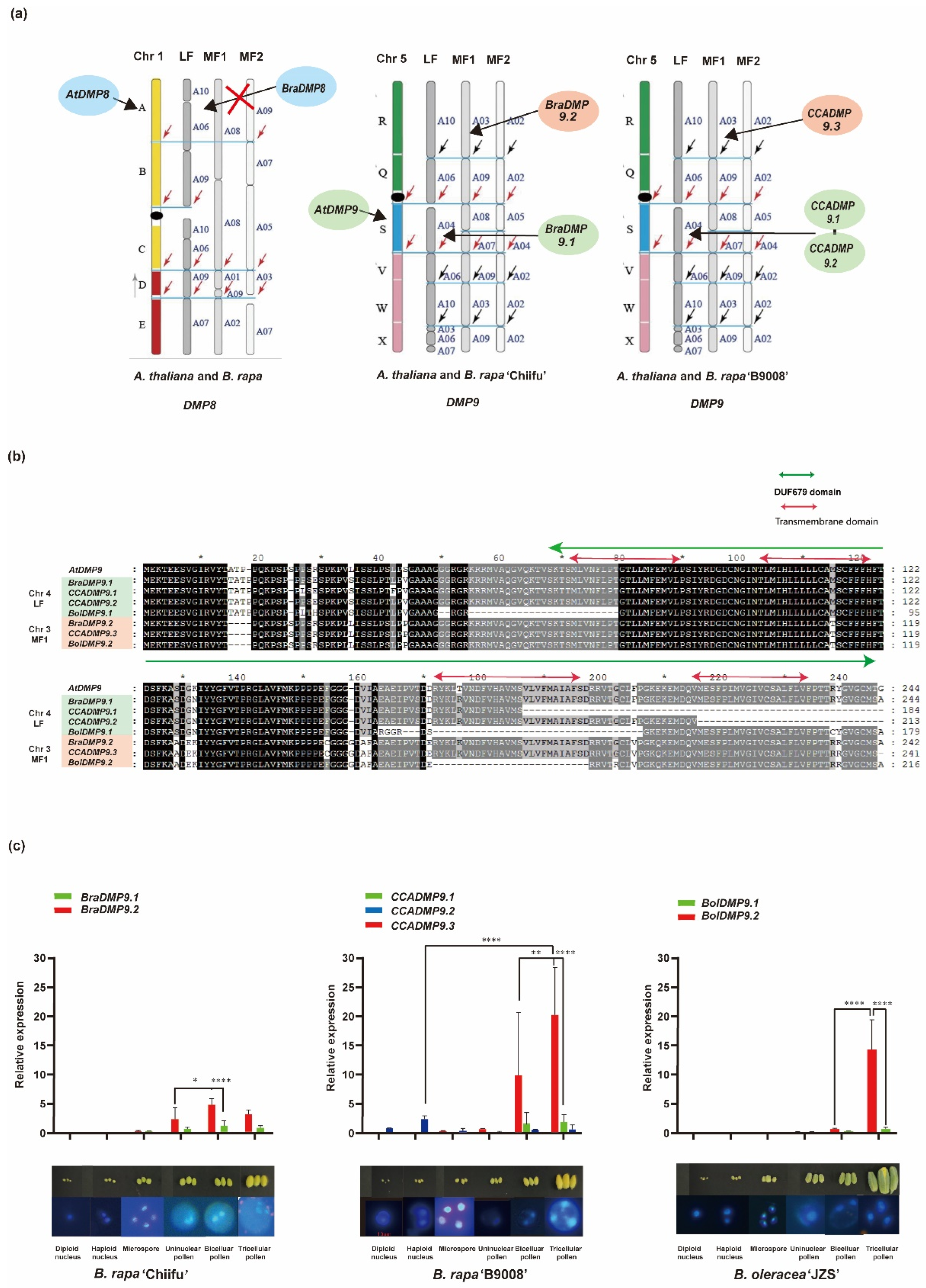 Horticulturae 08 01095 g003 Horticulturae 08 01095 g003