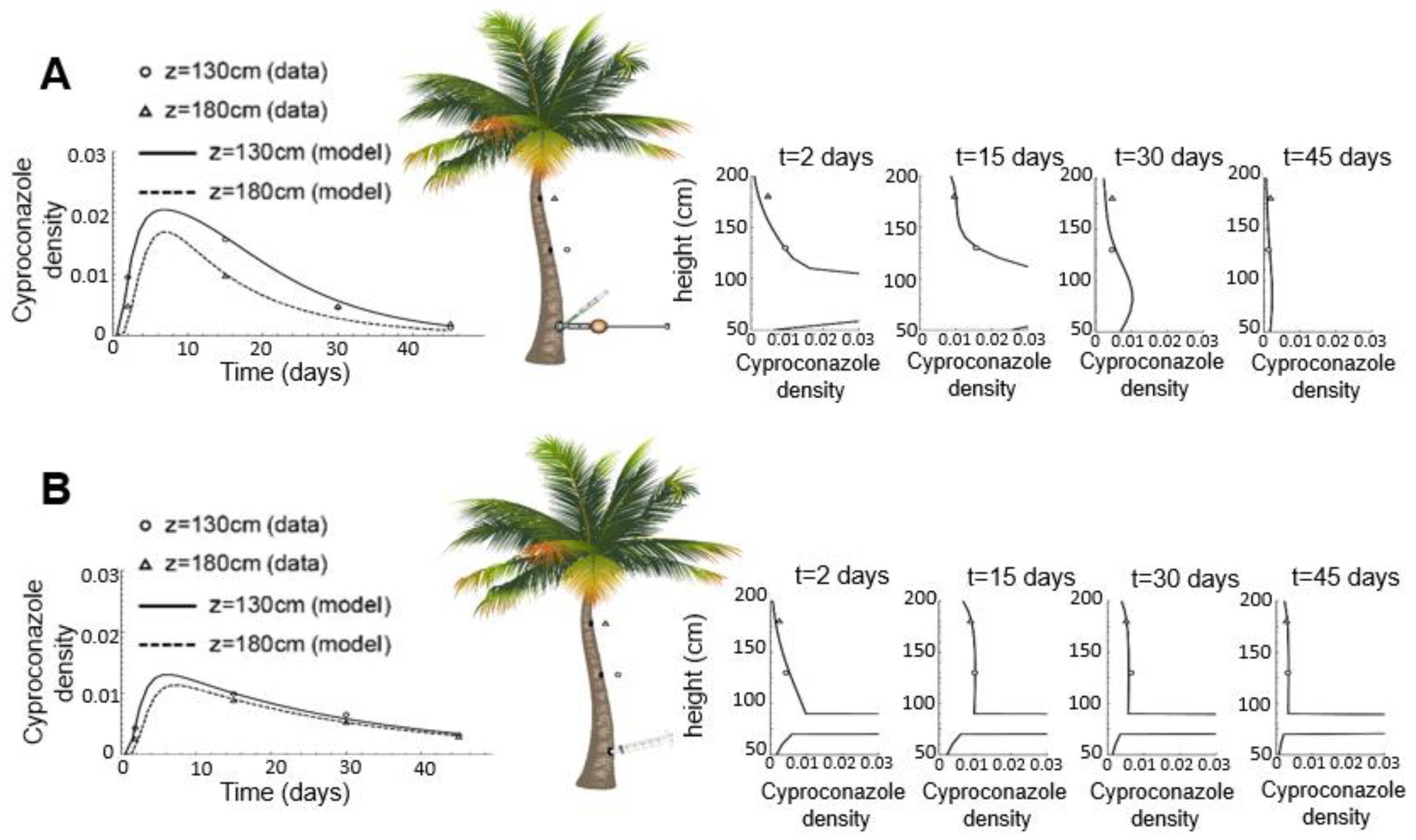Horticulturae | Free Full-Text | Cyproconazole Translocation in Coconut
