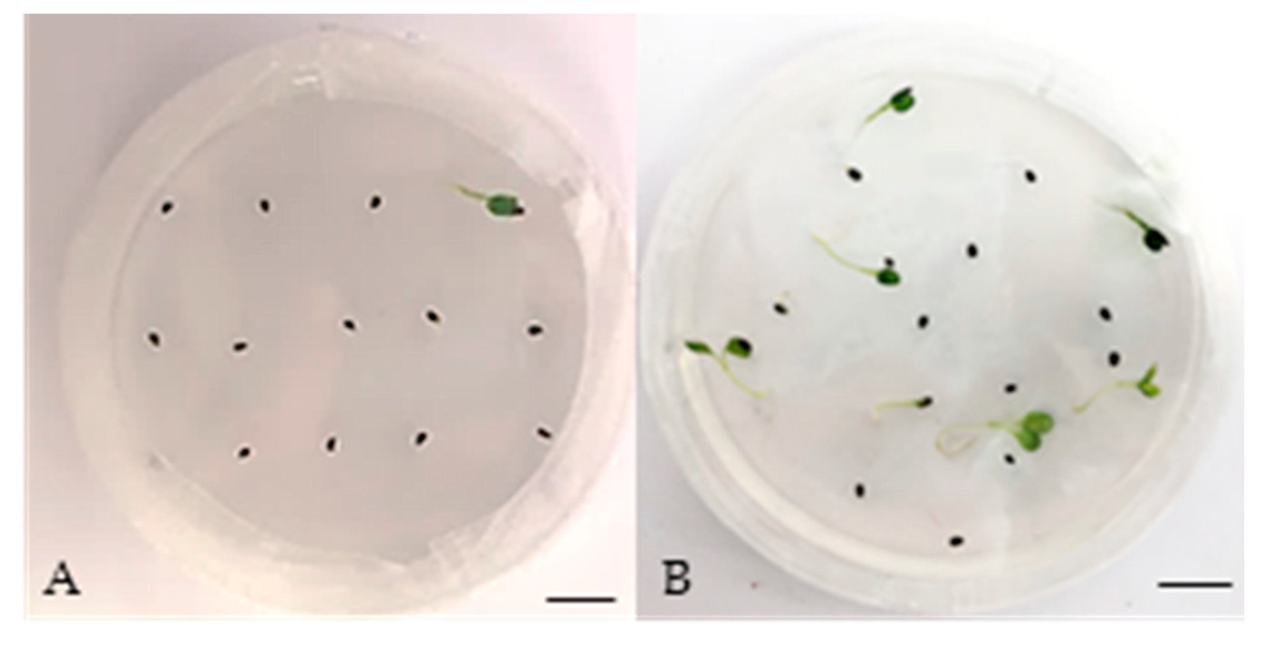Horticulturae 08 01114 g002