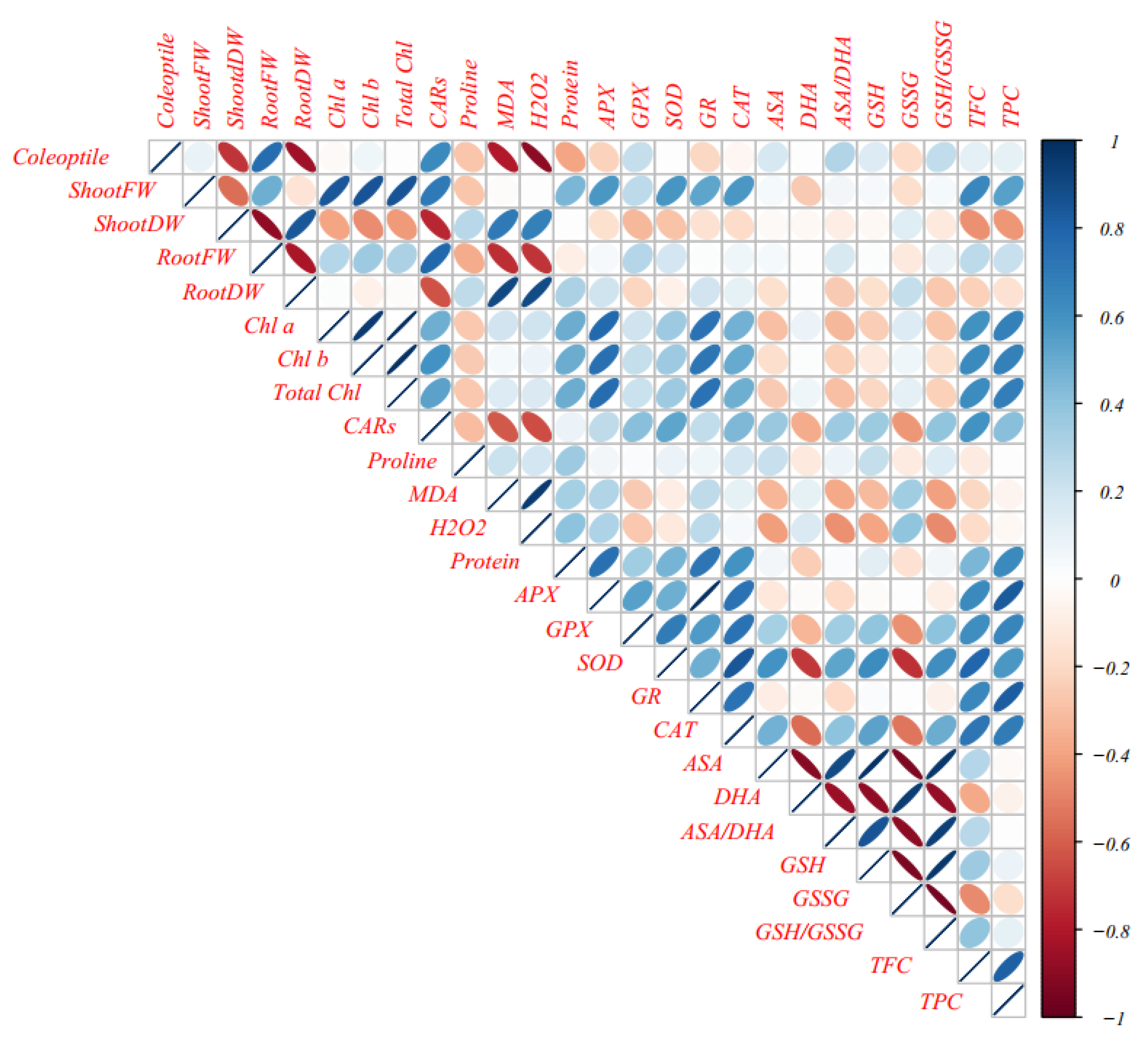 Horticulturae 08 01117 g005 Horticulturae 08 01117 g005