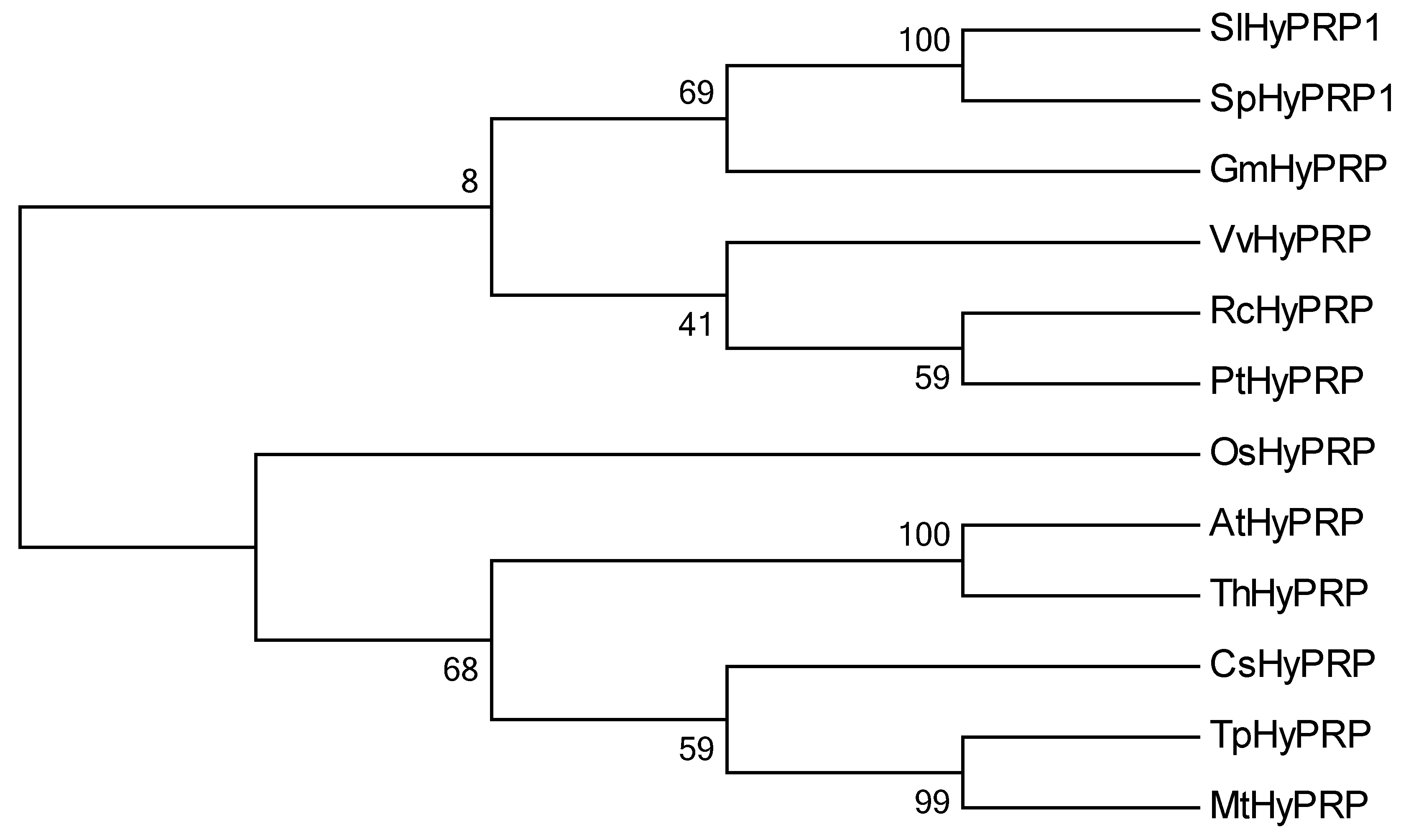 Horticulturae 08 01118 g001