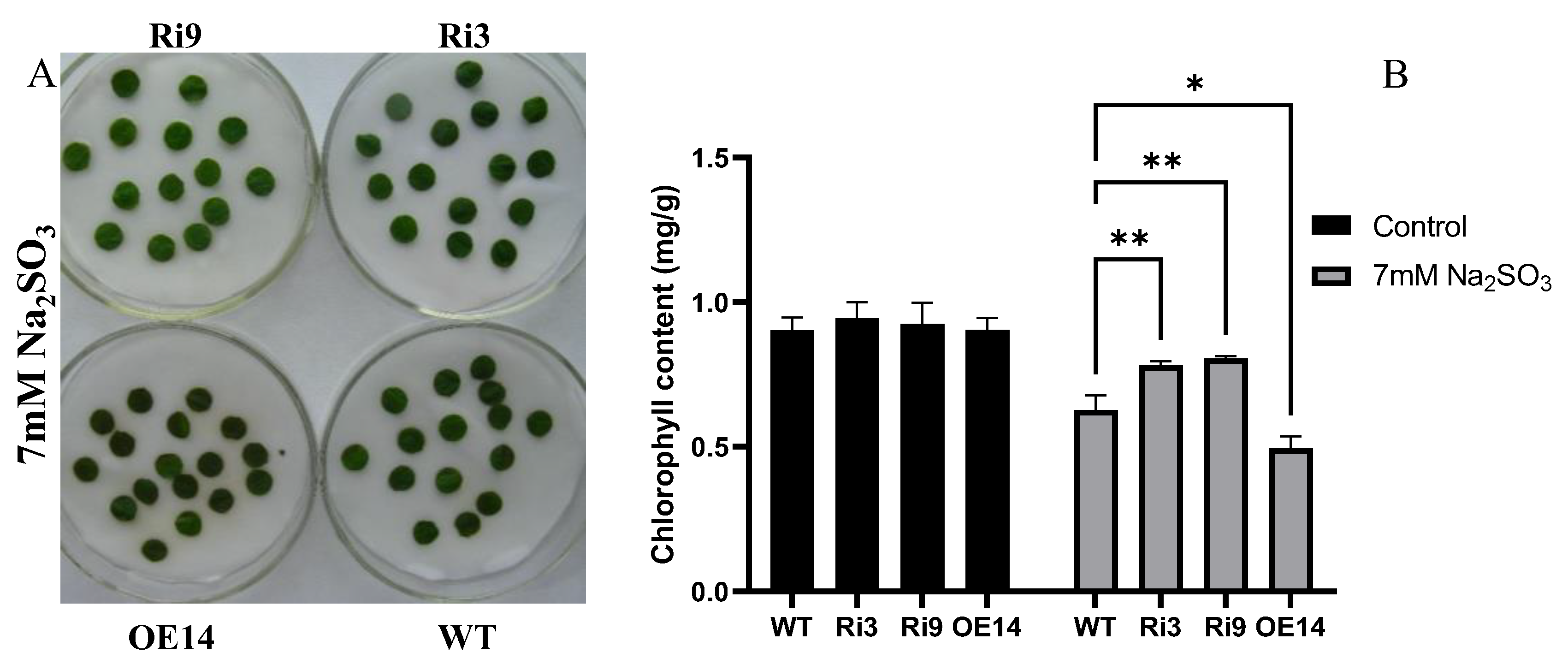 Horticulturae 08 01118 g005