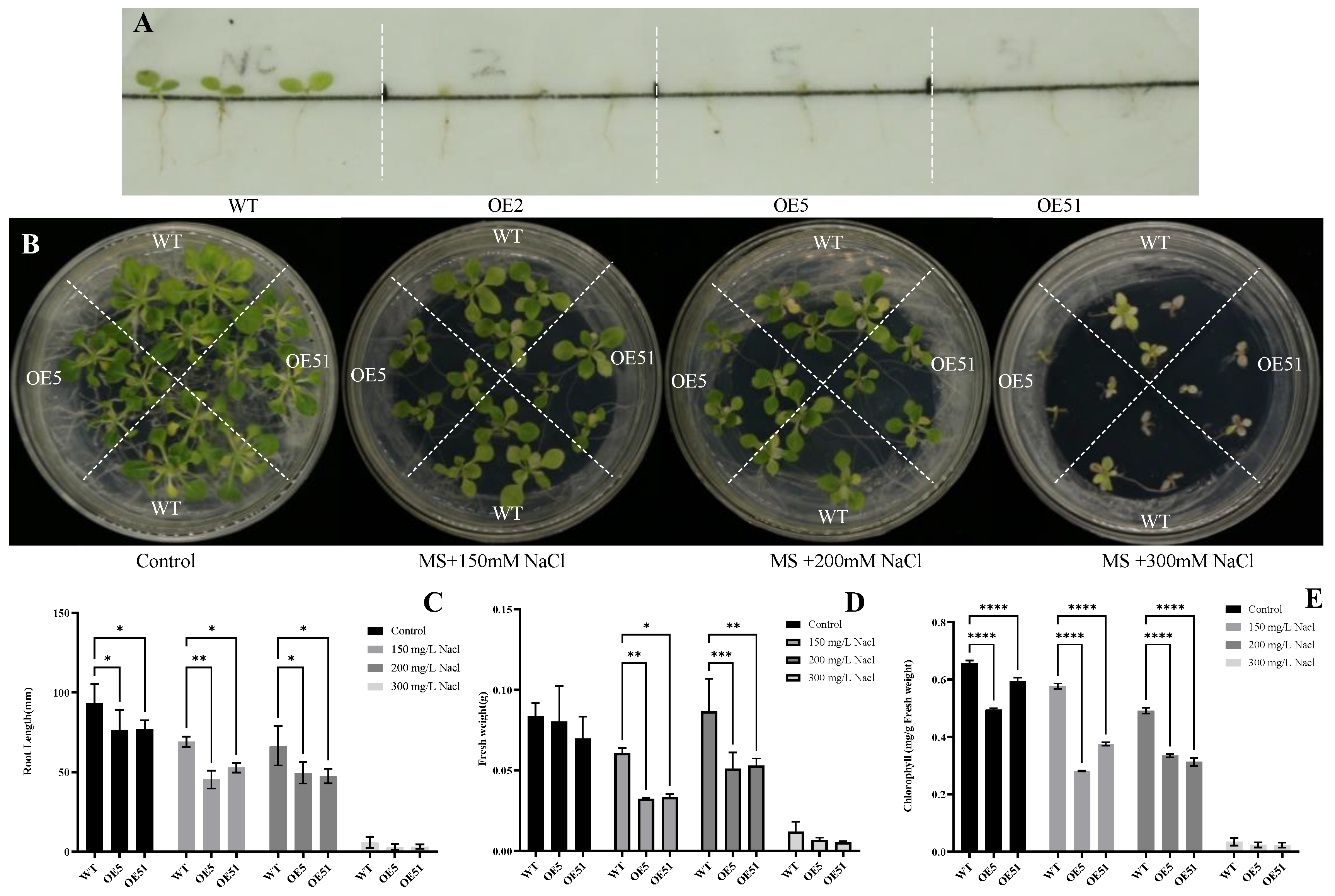 Horticulturae 08 01118 g008