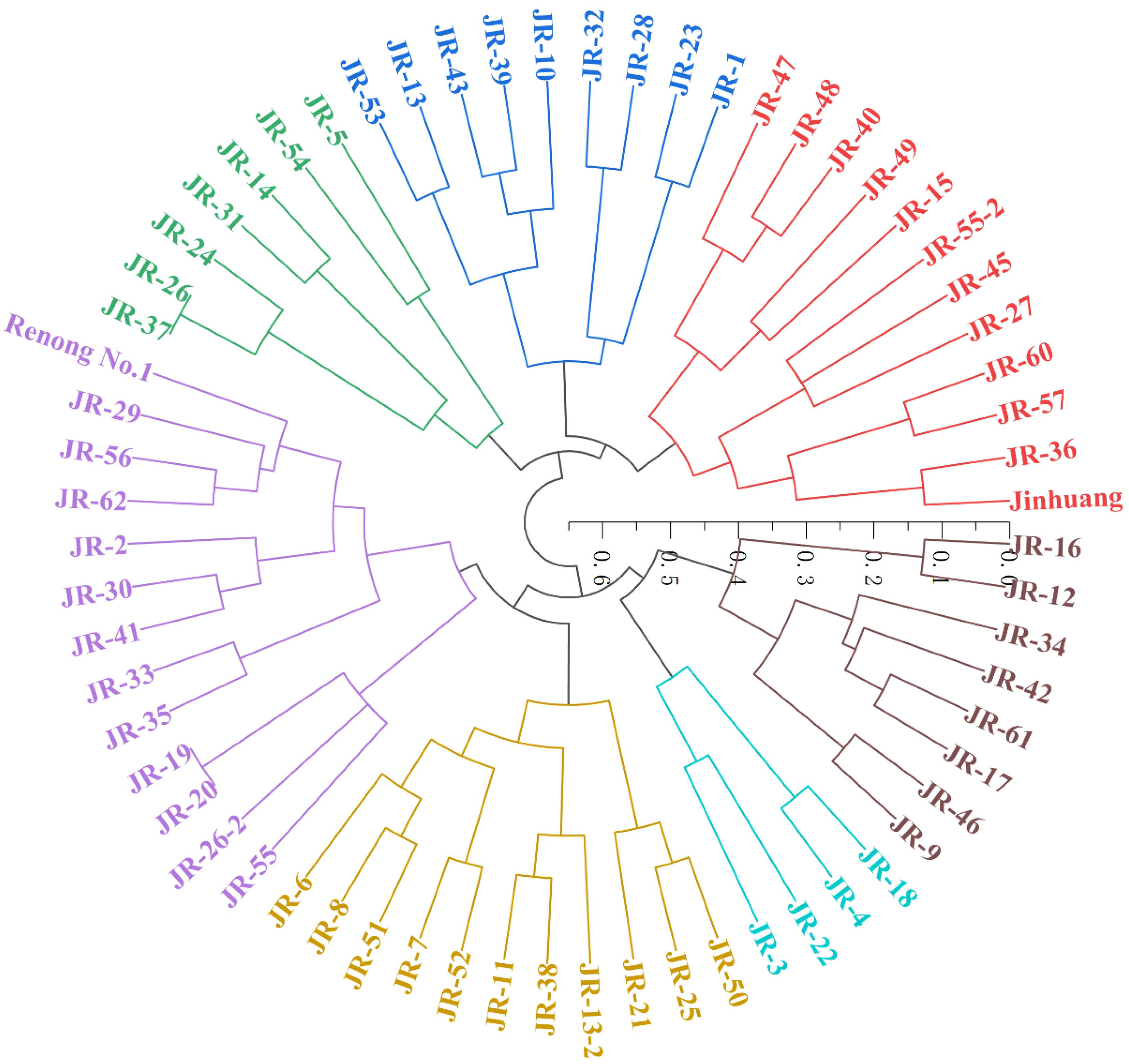 Horticulturae 08 01122 g004 Horticulturae 08 01122 g004
