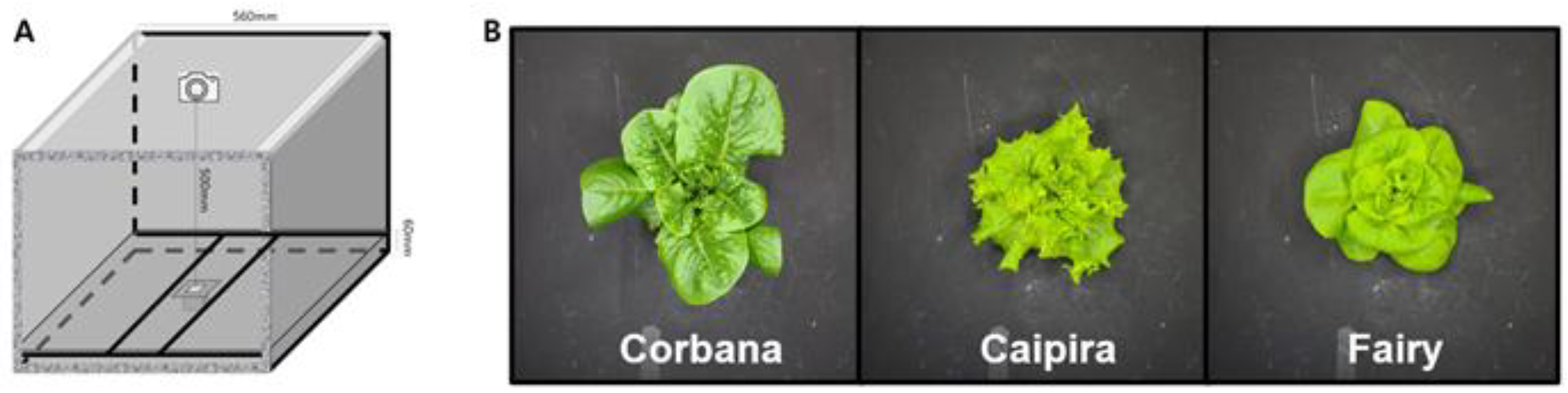 Horticulturae 08 01124 g003 Horticulturae 08 01124 g003