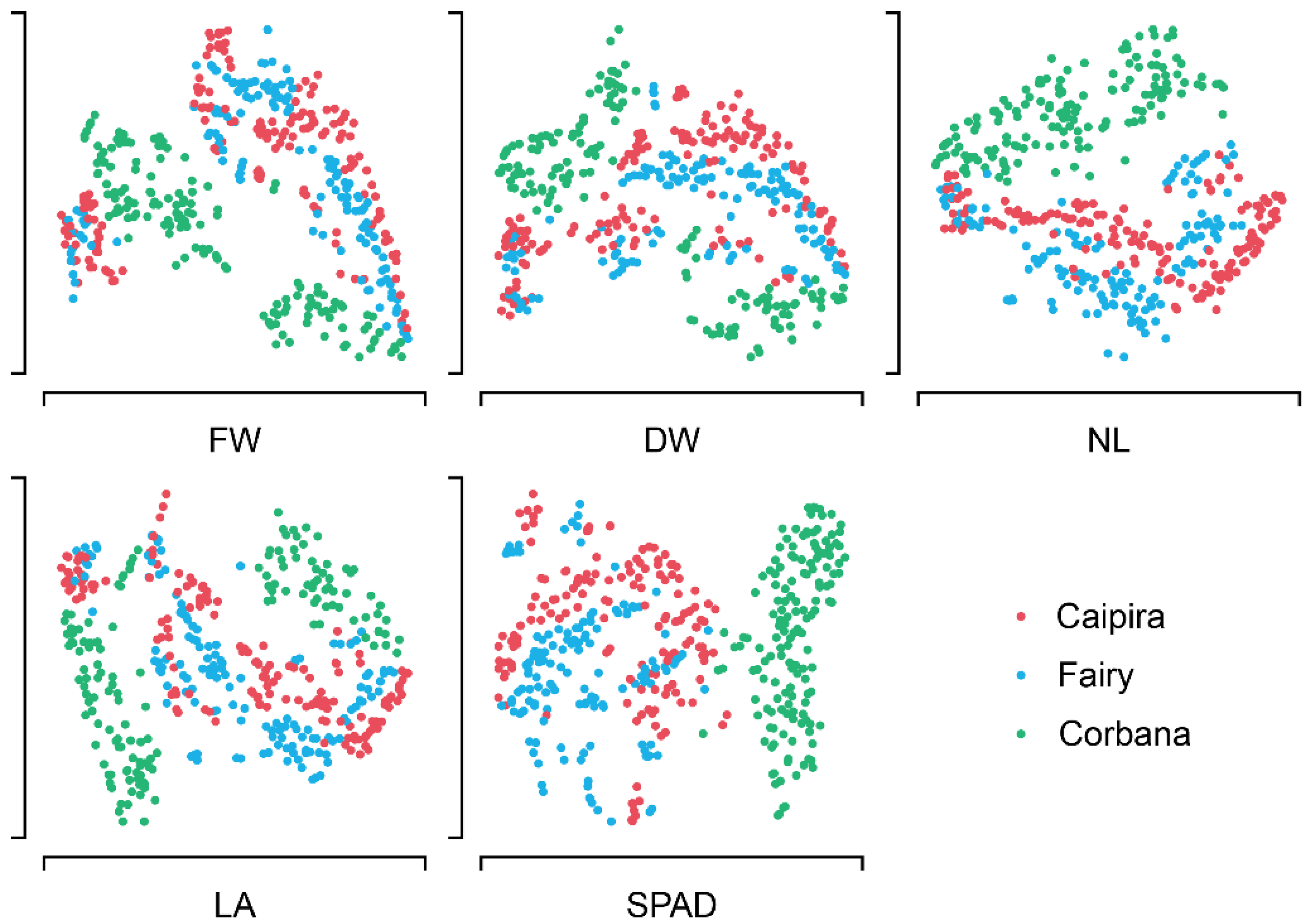 Horticulturae 08 01124 g005 Horticulturae 08 01124 g005