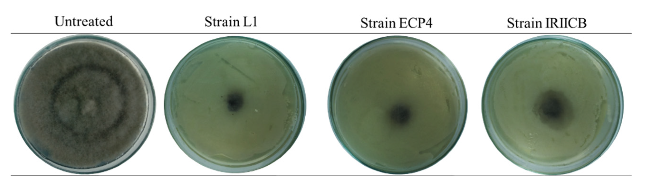 Horticulturae 08 01125 g001 Horticulturae 08 01125 g001