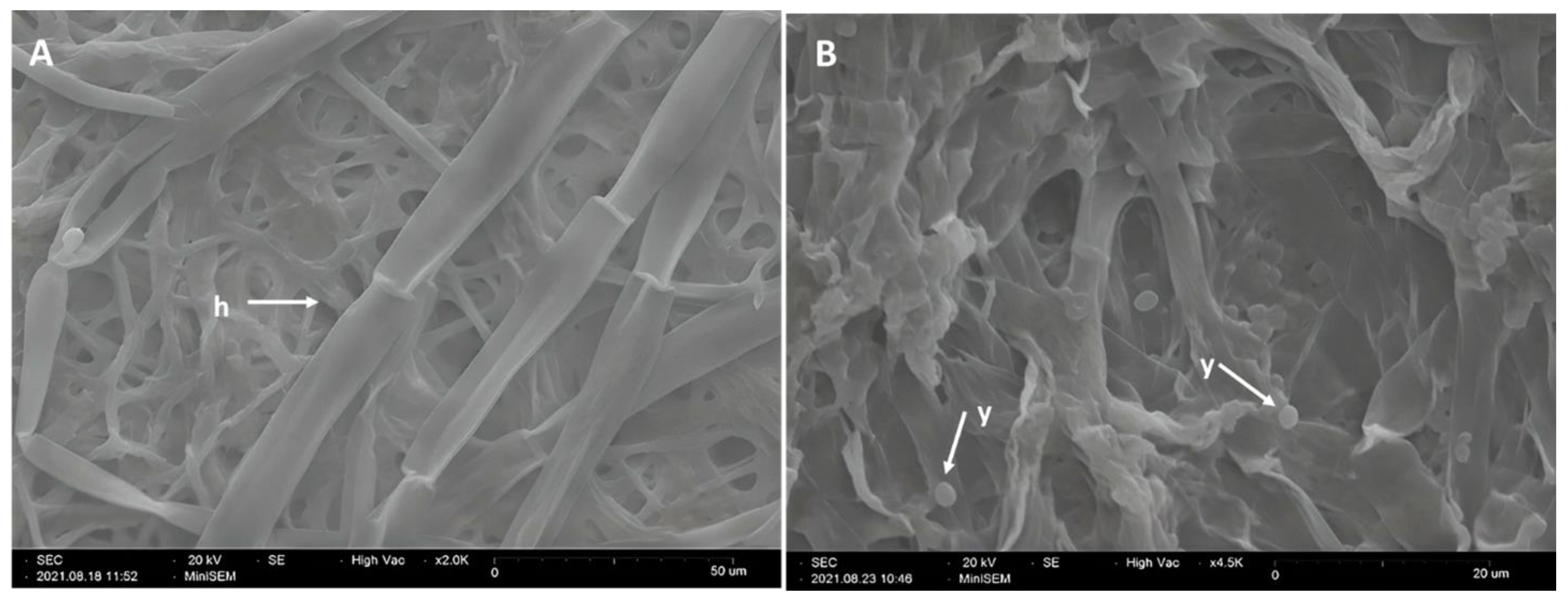 Horticulturae 08 01125 g003 Horticulturae 08 01125 g003