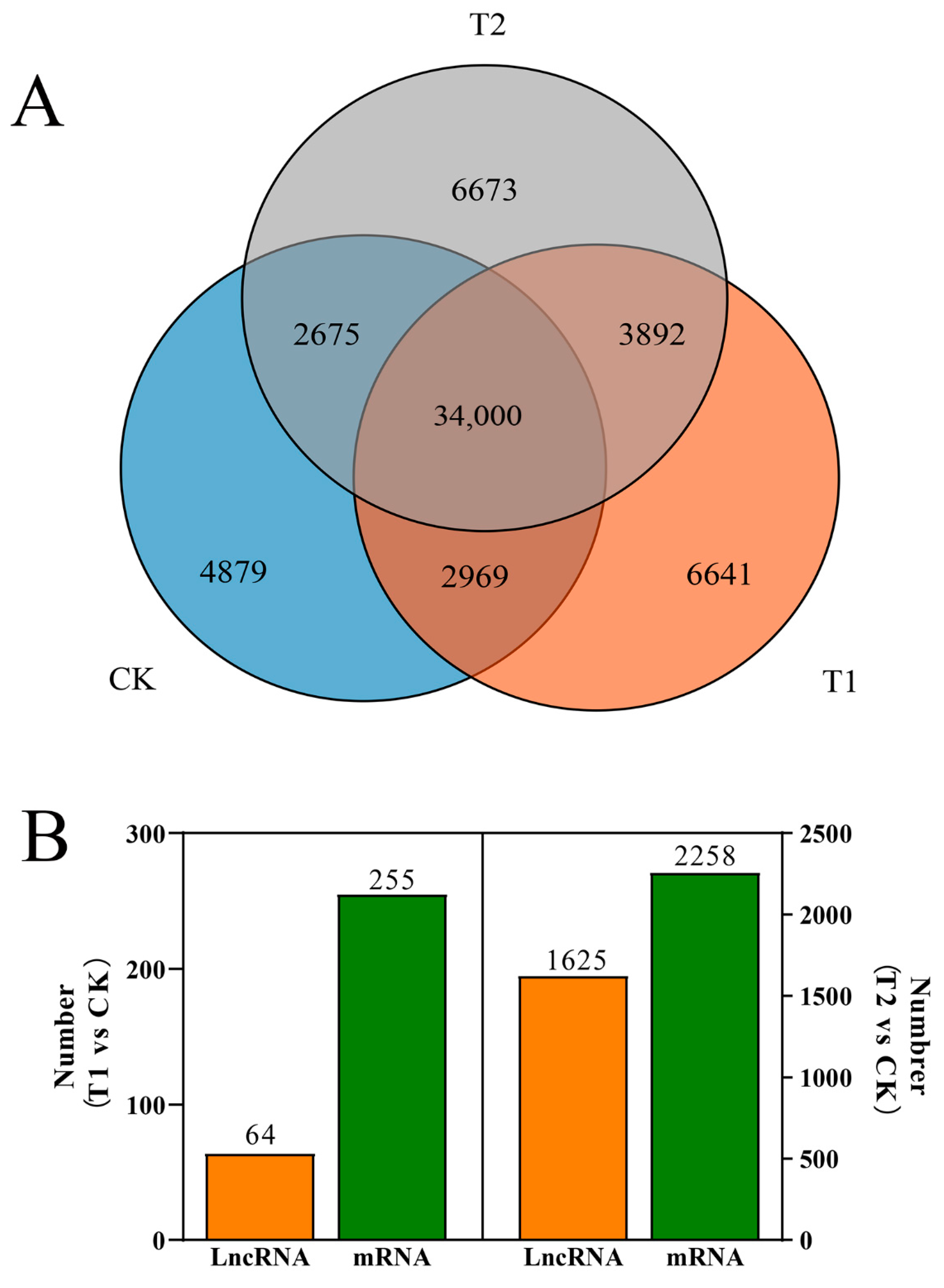 Horticulturae 08 01134 g002