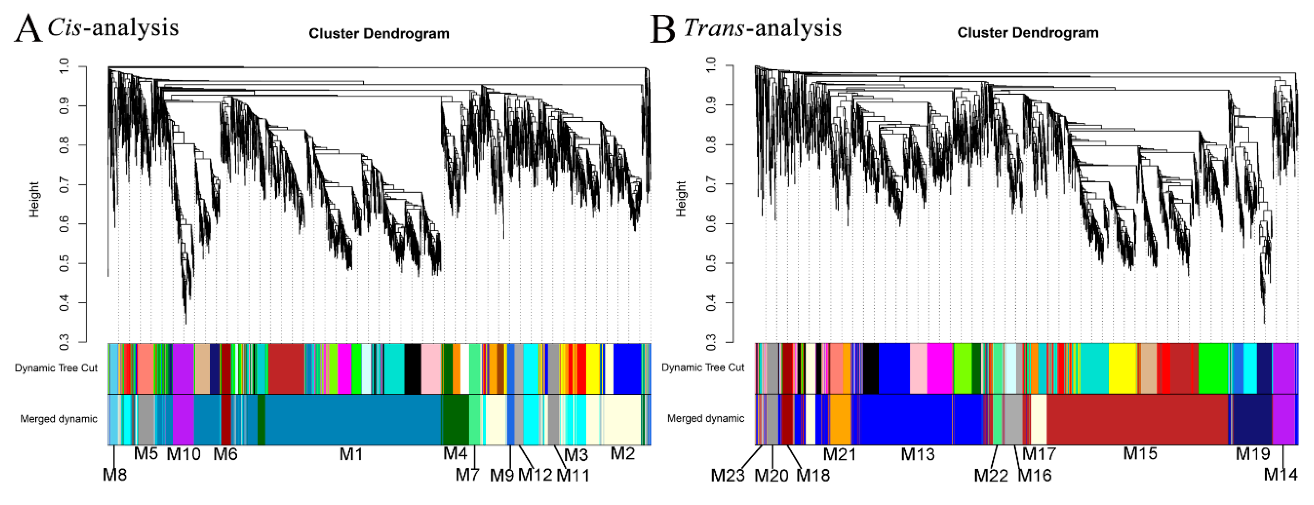 Horticulturae 08 01134 g004
