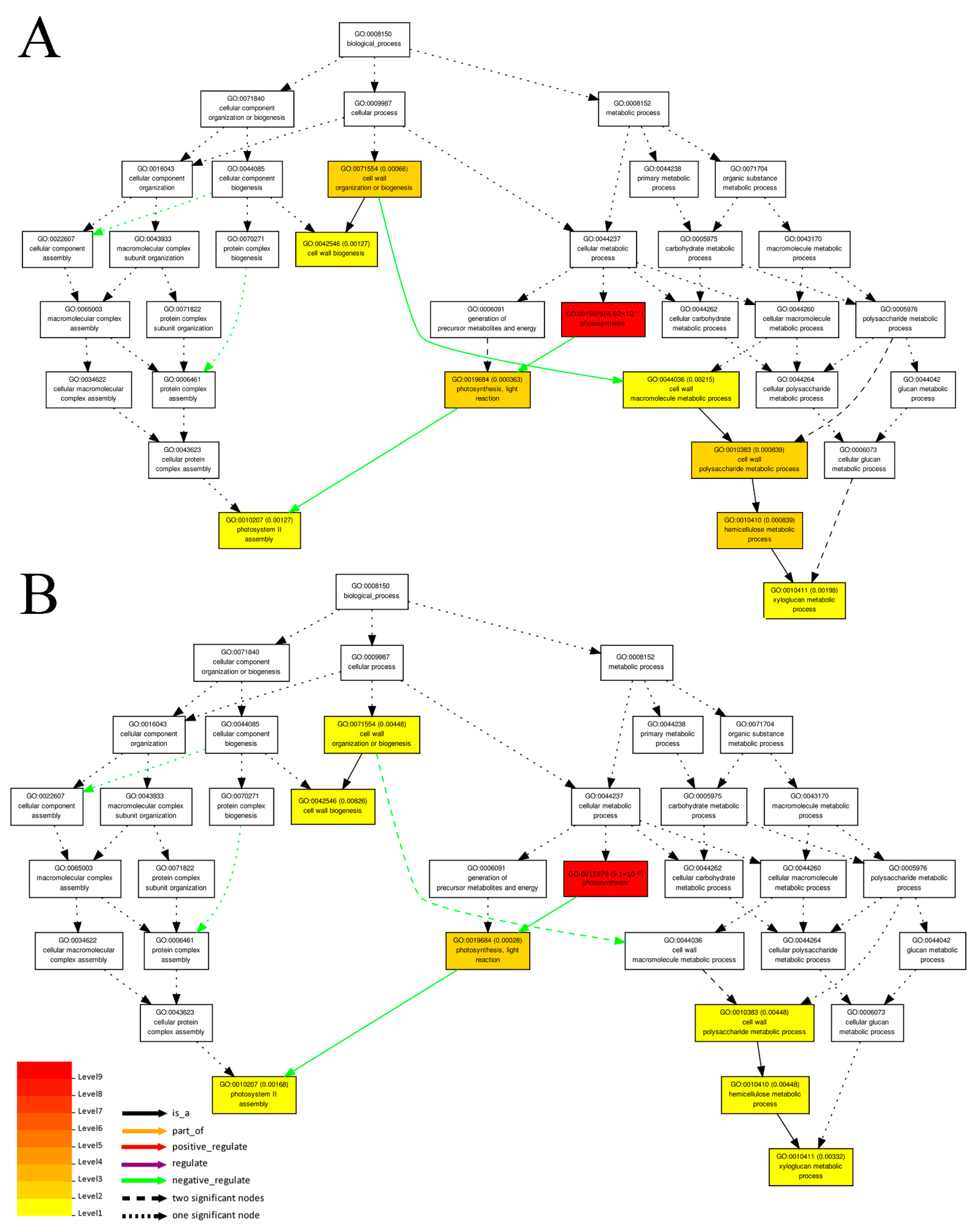 Horticulturae 08 01134 g006