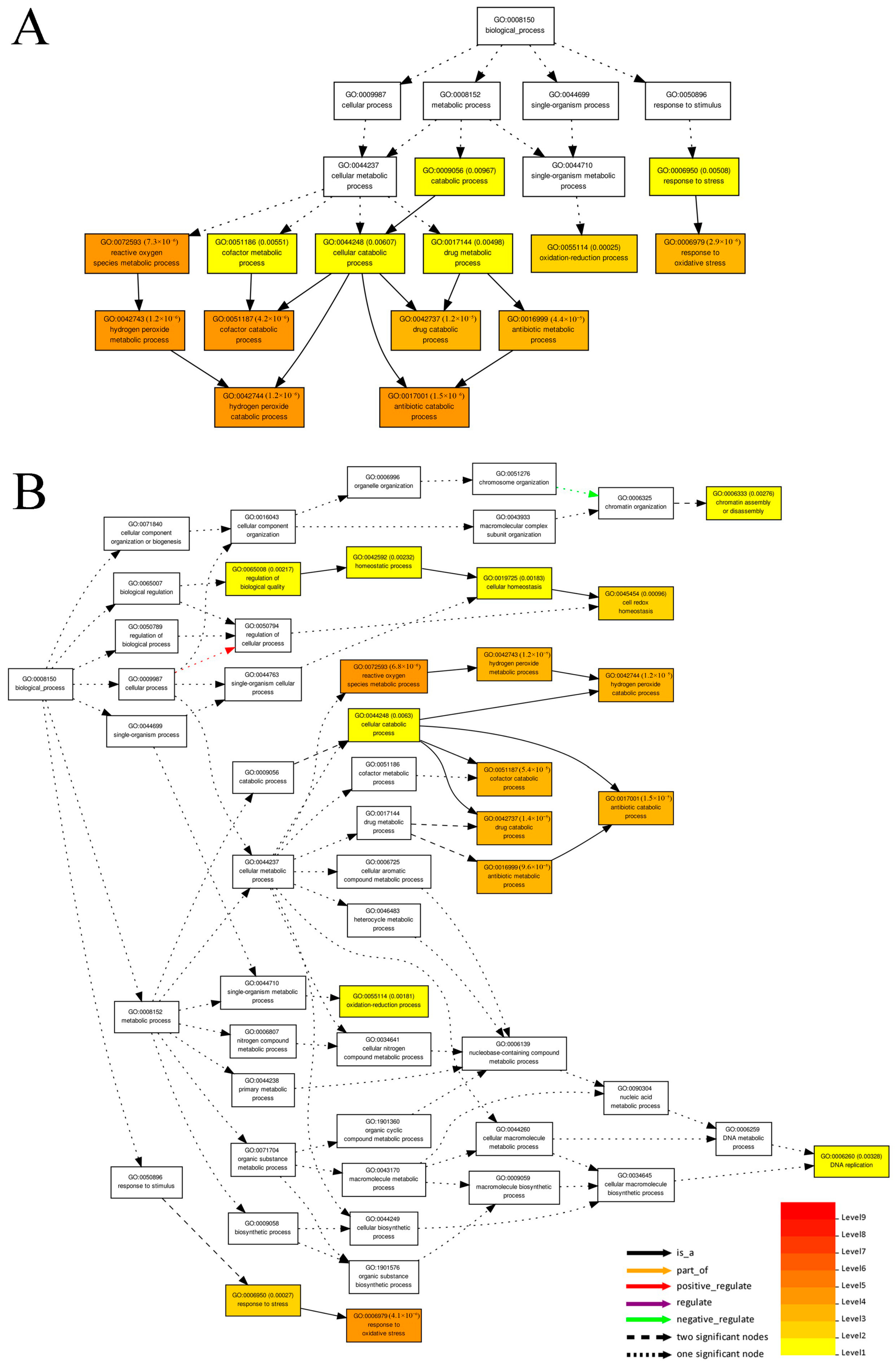 Horticulturae 08 01134 g008