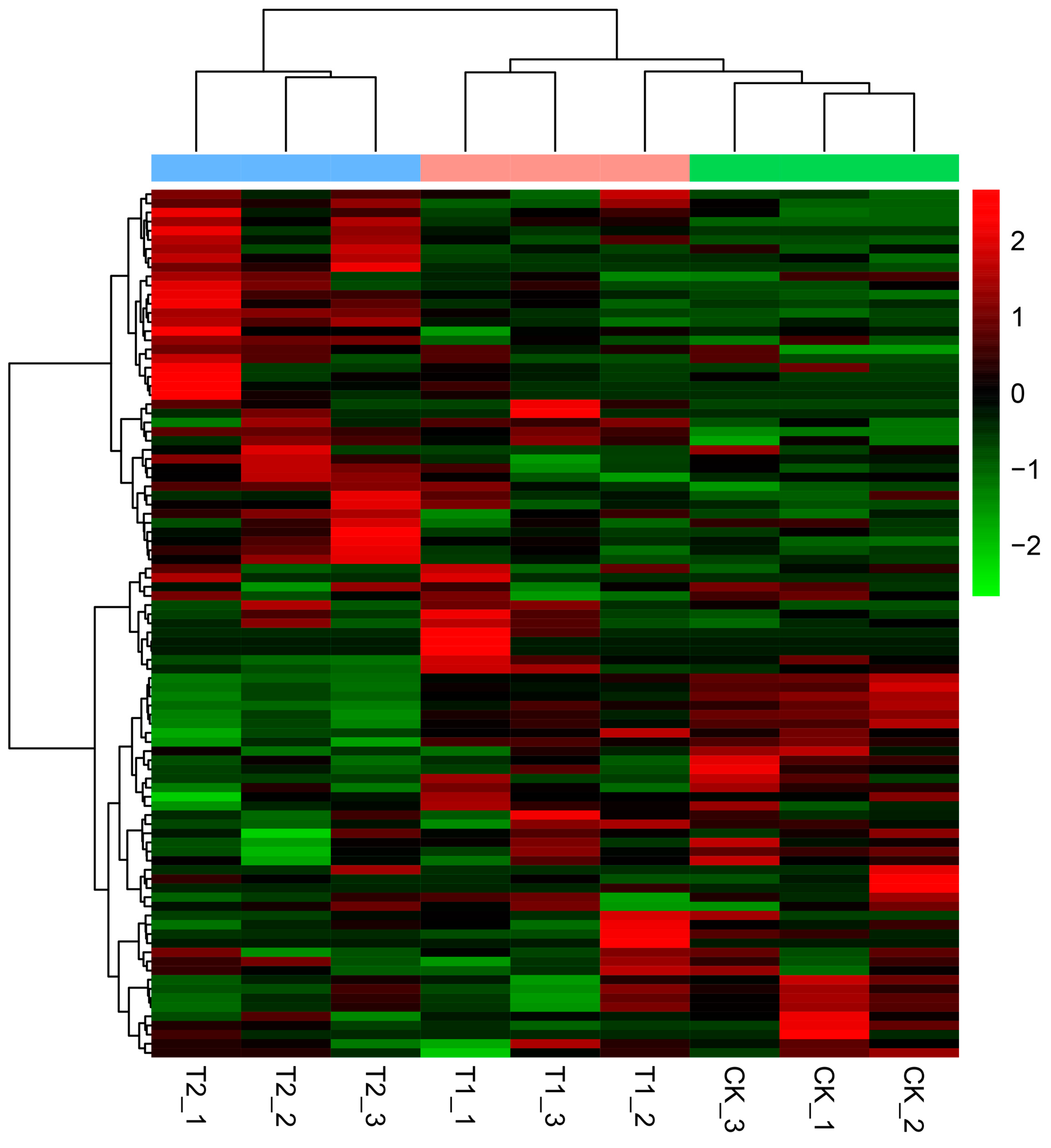 Horticulturae 08 01134 g009