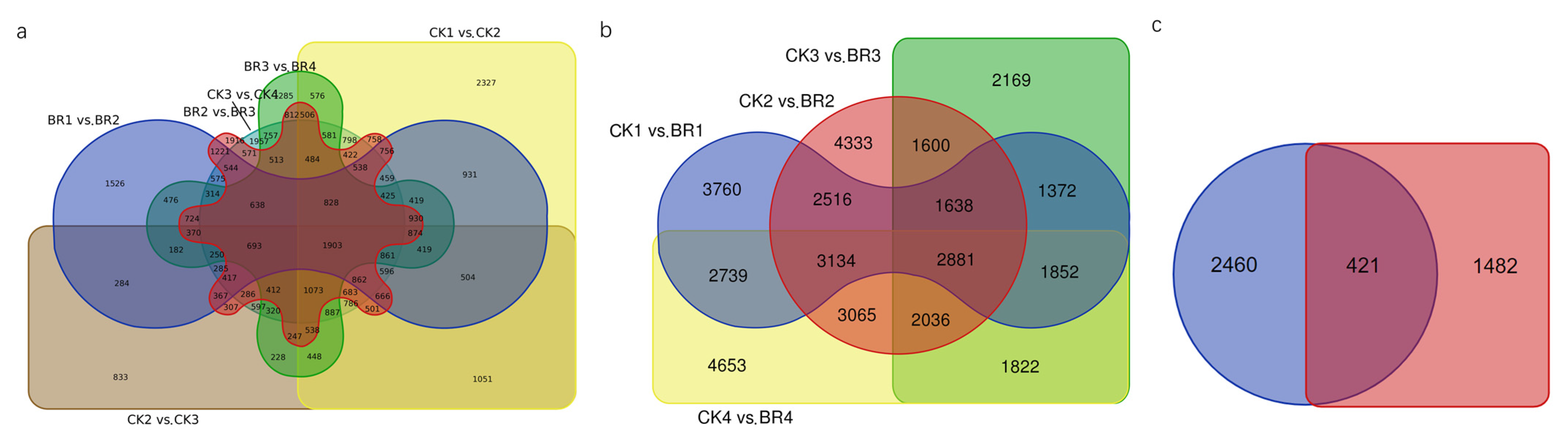 Horticulturae 08 01136 g005 Horticulturae 08 01136 g005
