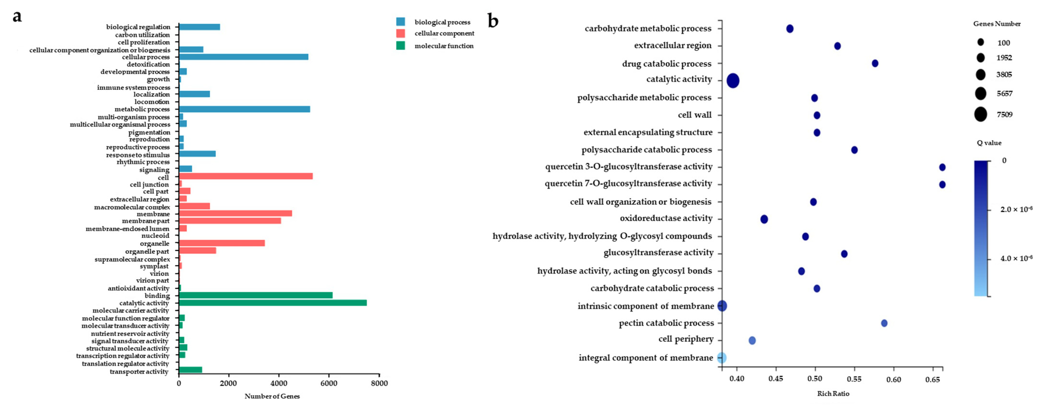 Horticulturae 08 01136 g006 Horticulturae 08 01136 g006
