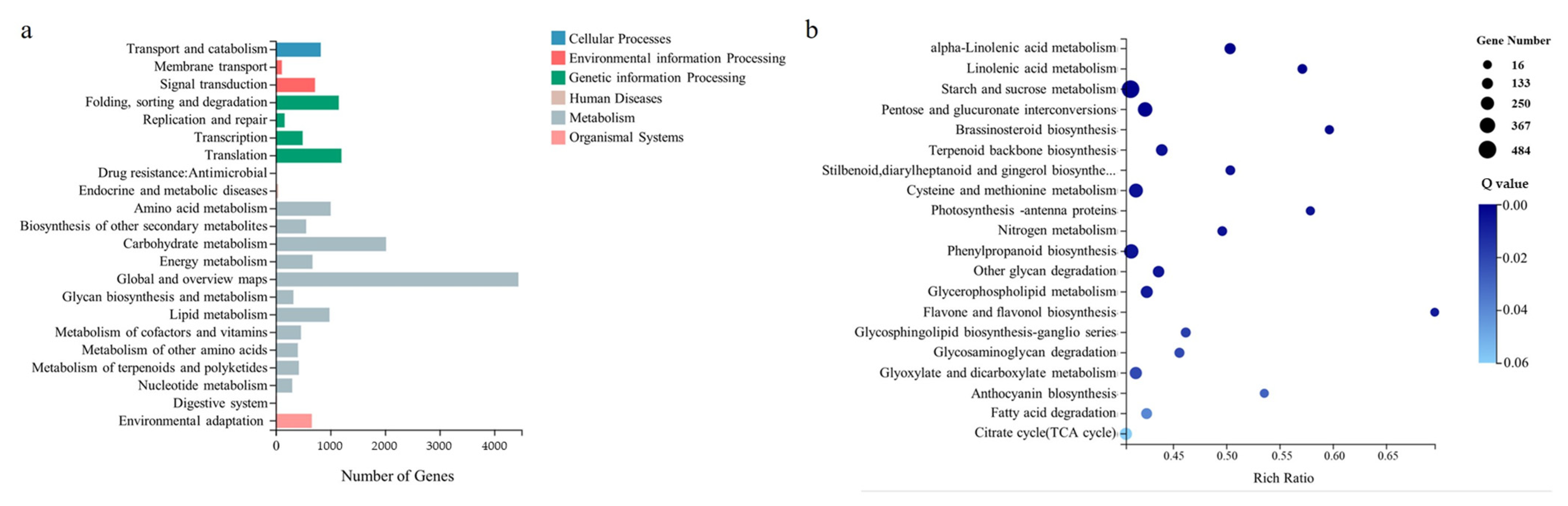 Horticulturae 08 01136 g007 Horticulturae 08 01136 g007